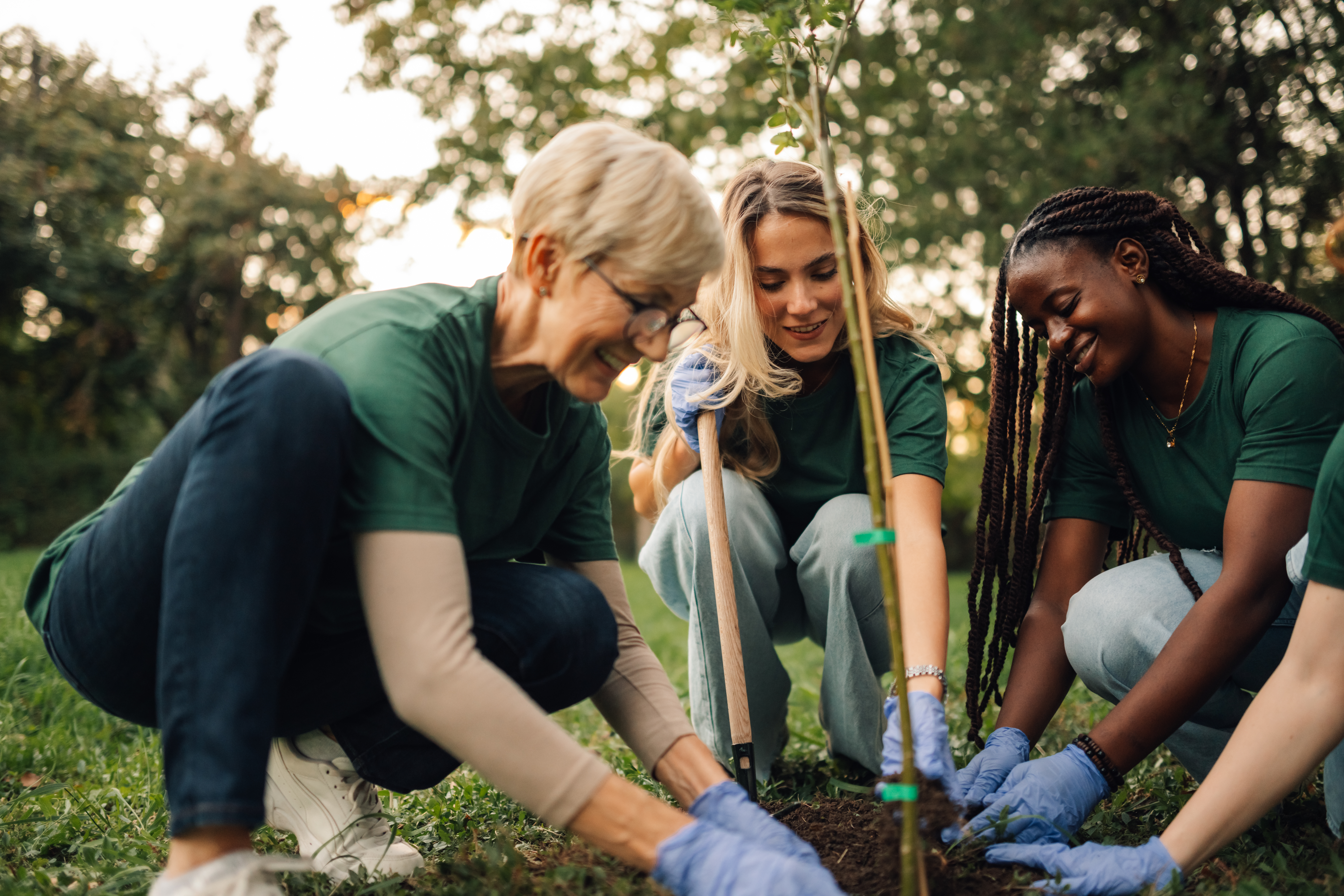Collaborate and Grow: Starting Cooperative Gardens in Your Neighborhood Group Of Volunteers Planting Trees In Park Dcdc11c8842c2f6b6c6f