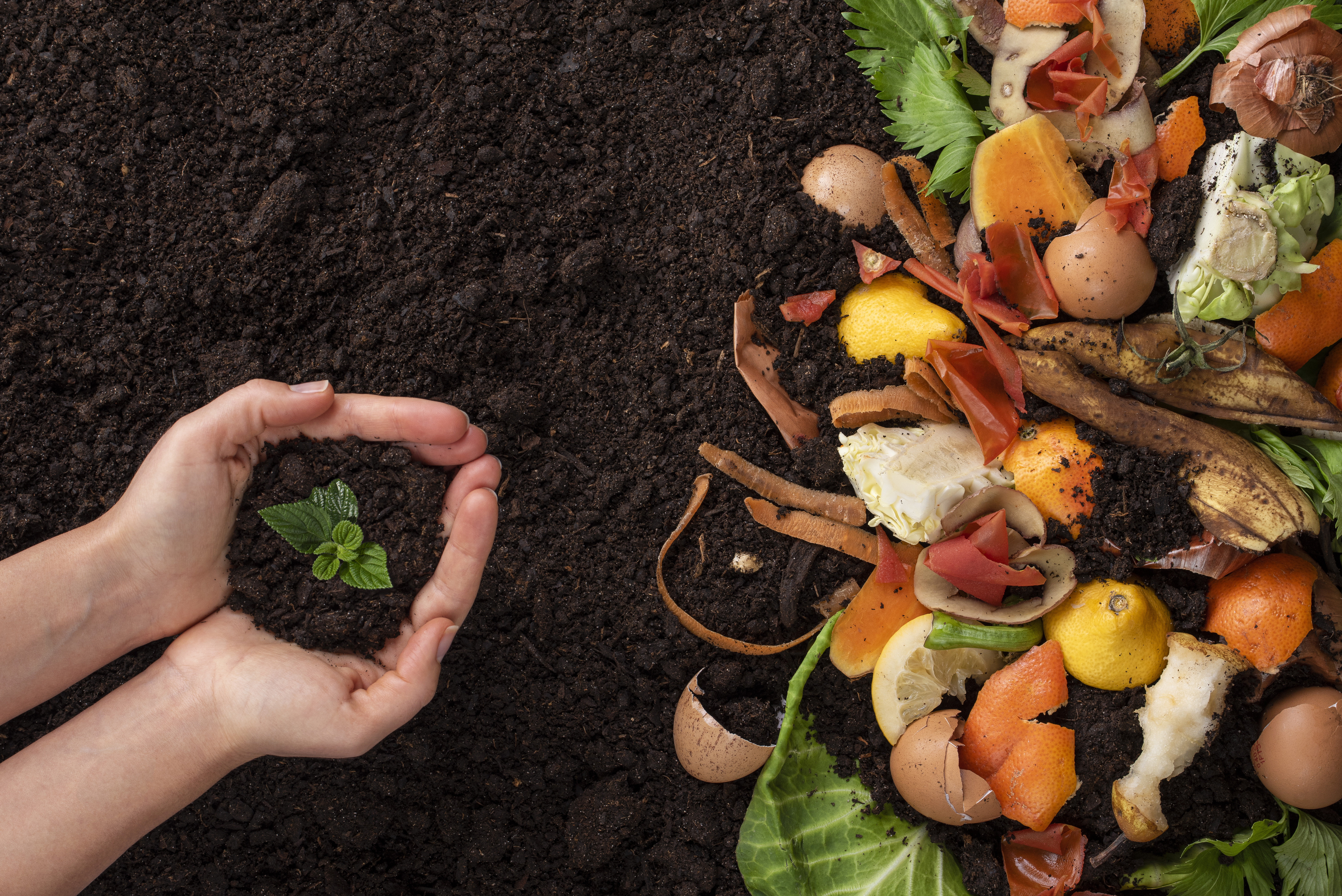Five Easy Composting Tips to Transform Your Garden and Reduce Waste 🌿 Hands Holding A Green Young Plant Organic Waste A 37a7f2717c60a5aa37b7