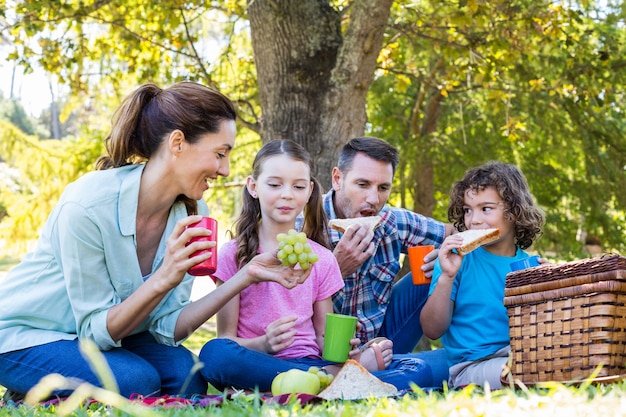 happy family on a picnic in the park 333facc3a5b011af777c