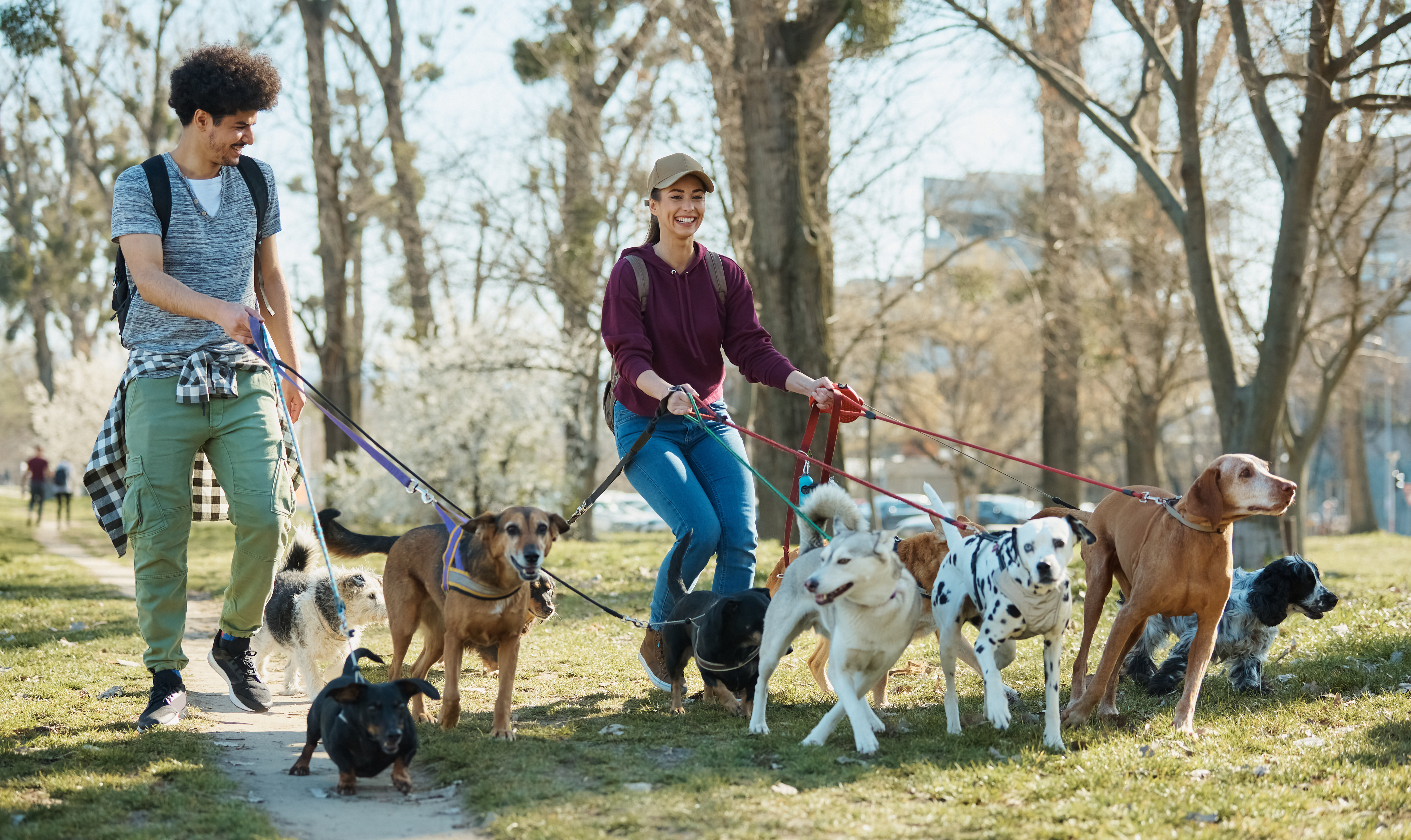 Overnight Pet Care Tallahassee