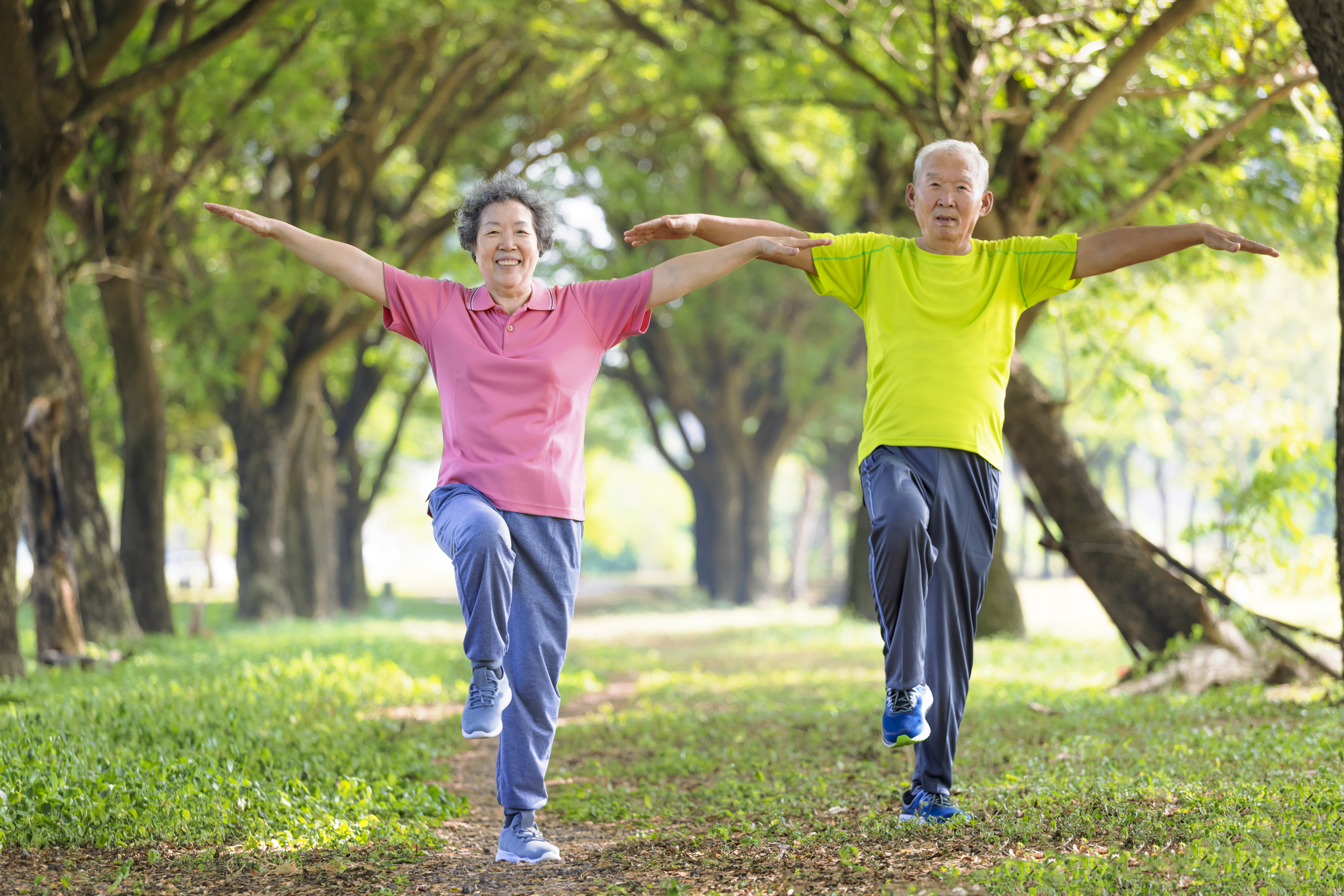 happy senior couple exercising in the park c8b76ec3e978a16278d0