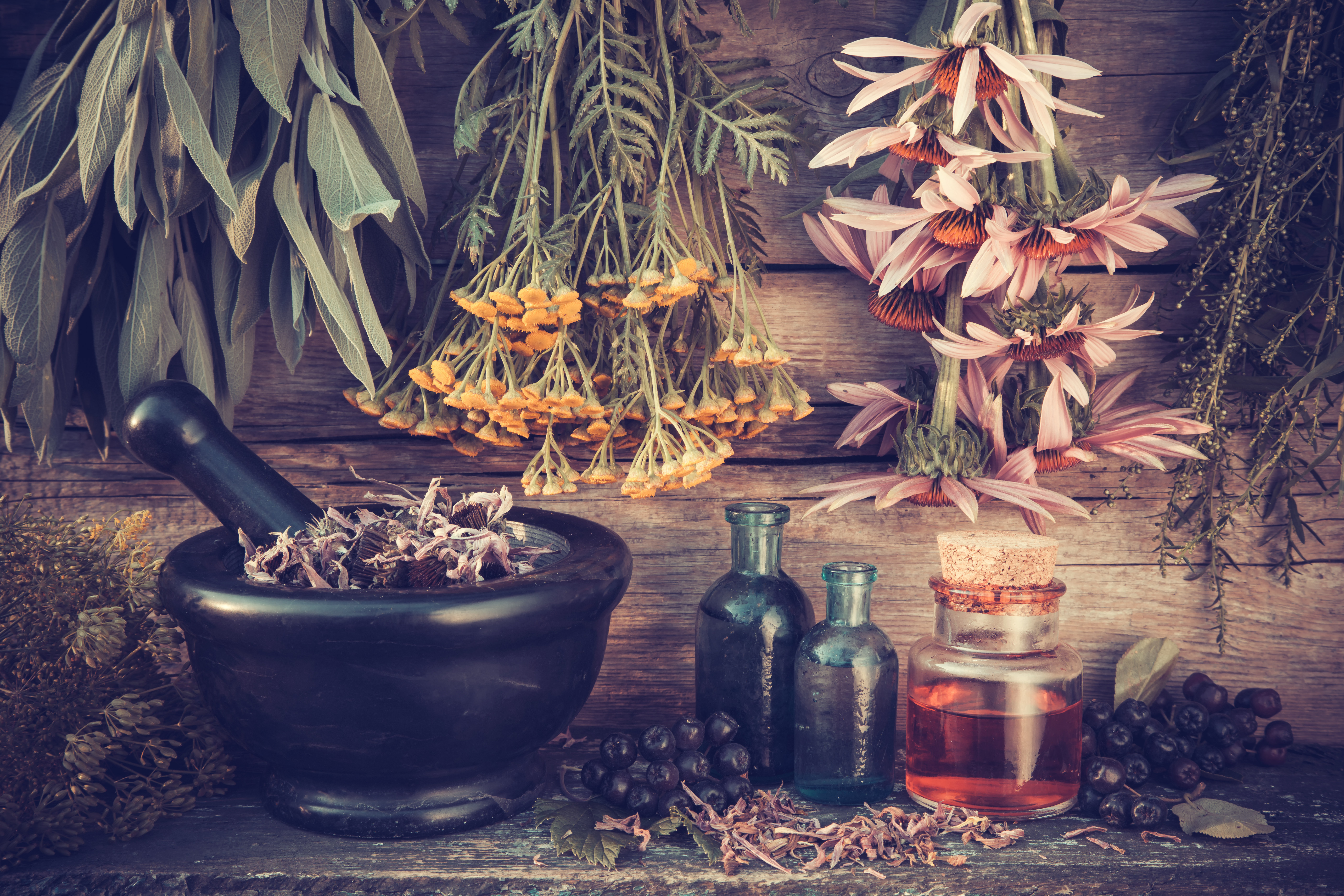 Top Herbal Remedies for Spiritual Cleansing and Ancestral Healing: A Guide to Embrace Your Inner Goddess