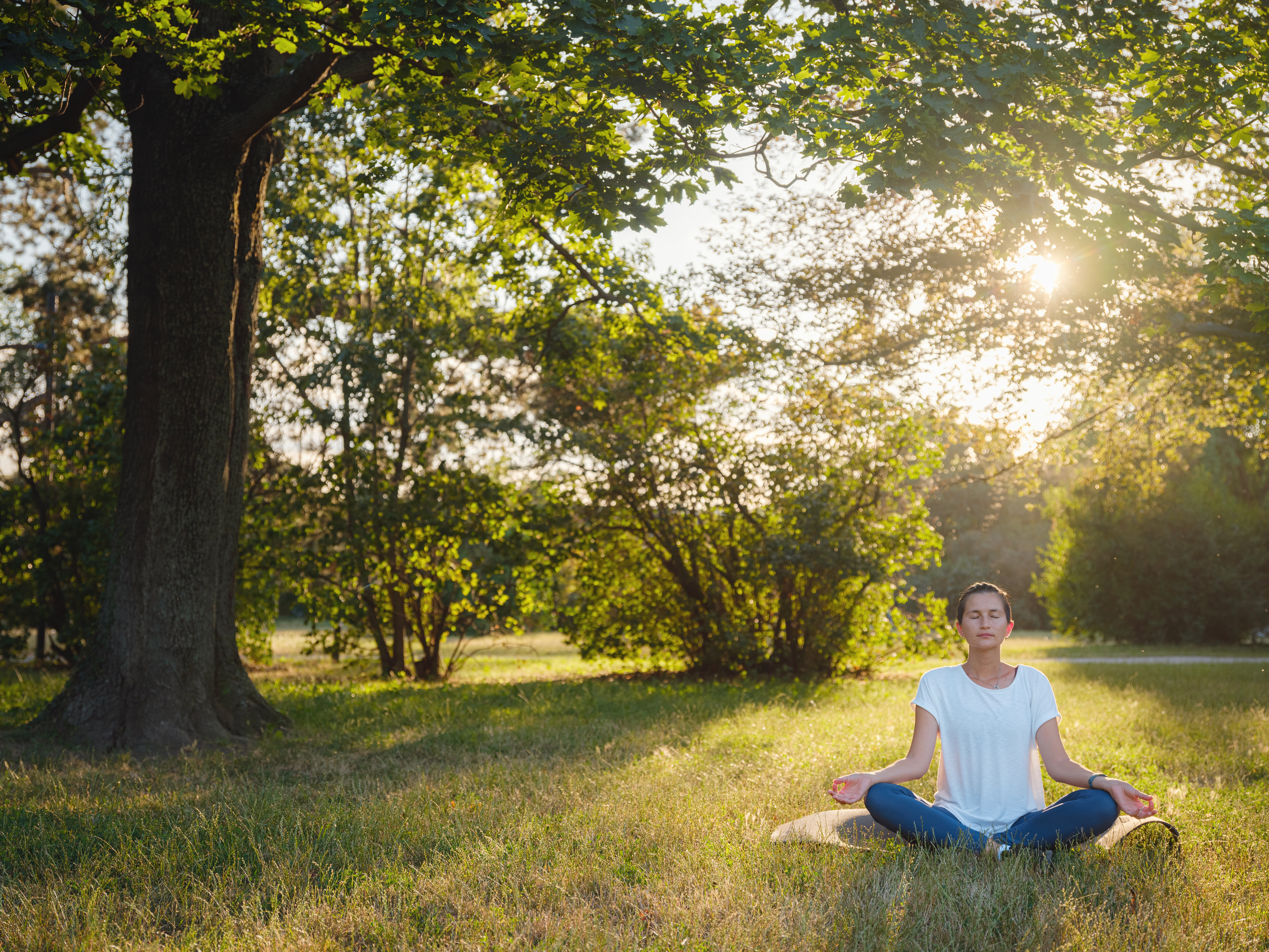 Finding Balance: Integrative Approaches to Managing Stress and Boosting Energy
