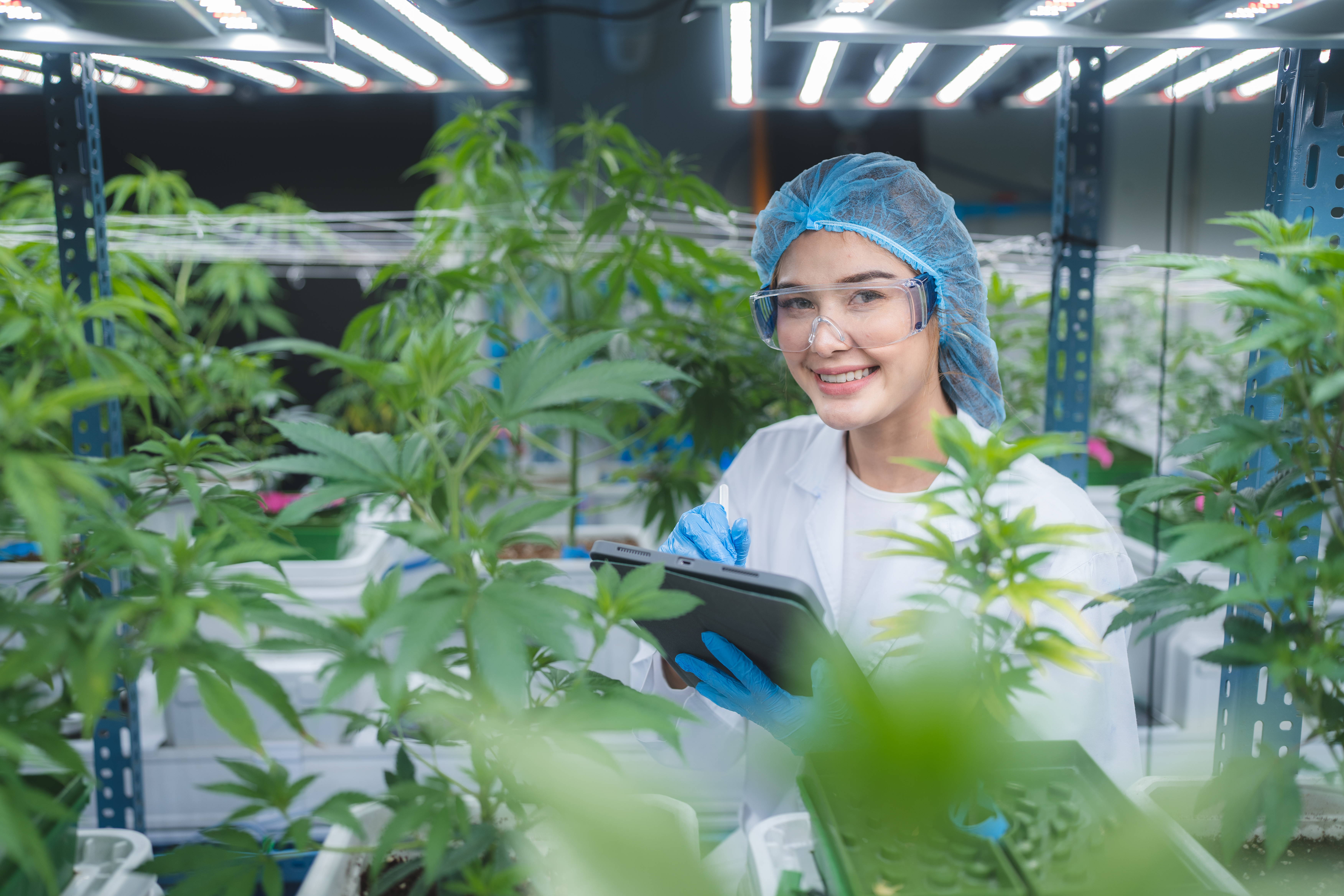 Revolutionize Your Dispensary: Streamline Cannabis Compliance with RequestWeed's Cutting-Edge Technology