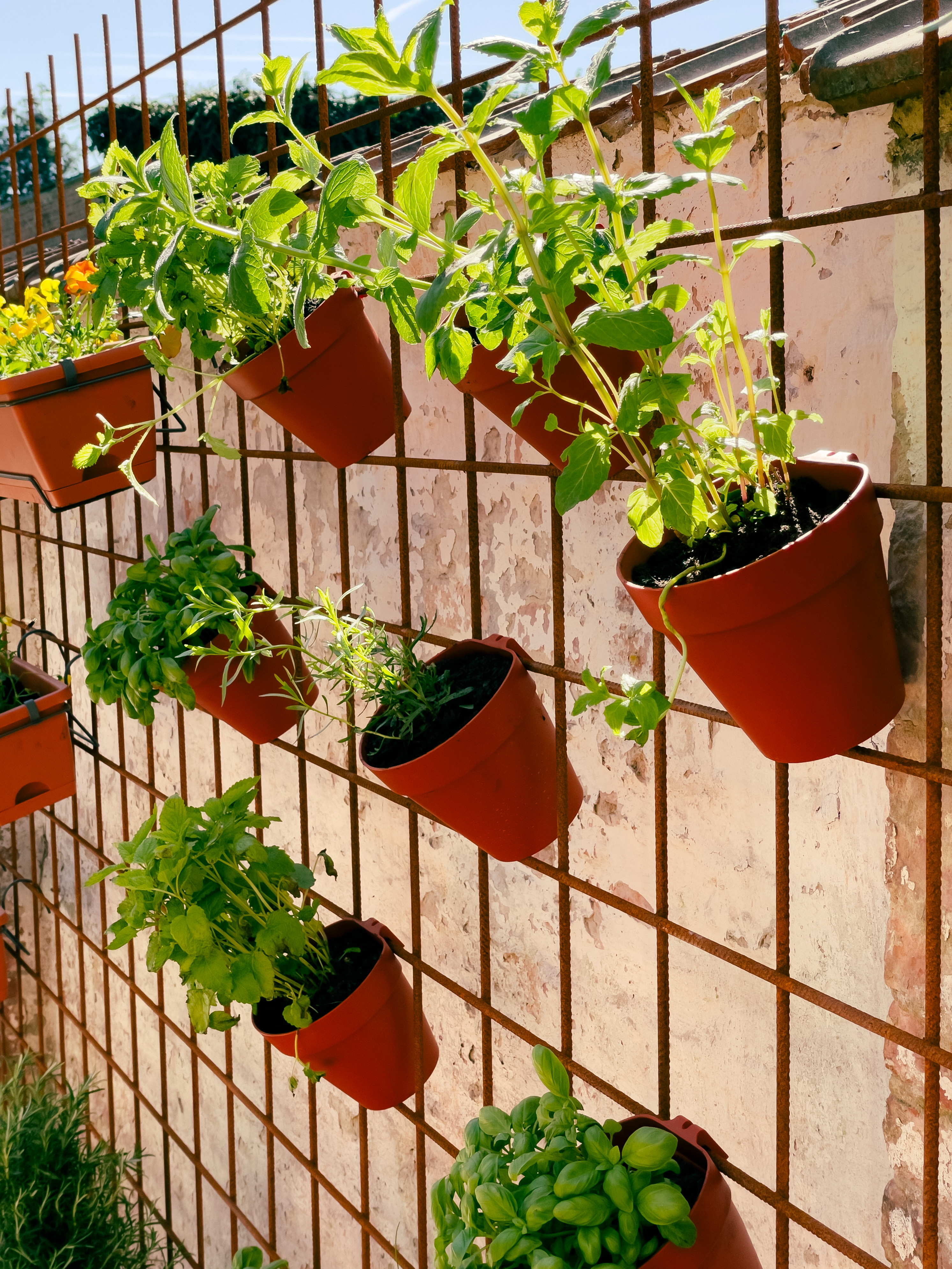 Sprout Your Creativity: Joyful Gardening Ideas for Every Home Herb Garden 11355e5b6cc4bd42afee