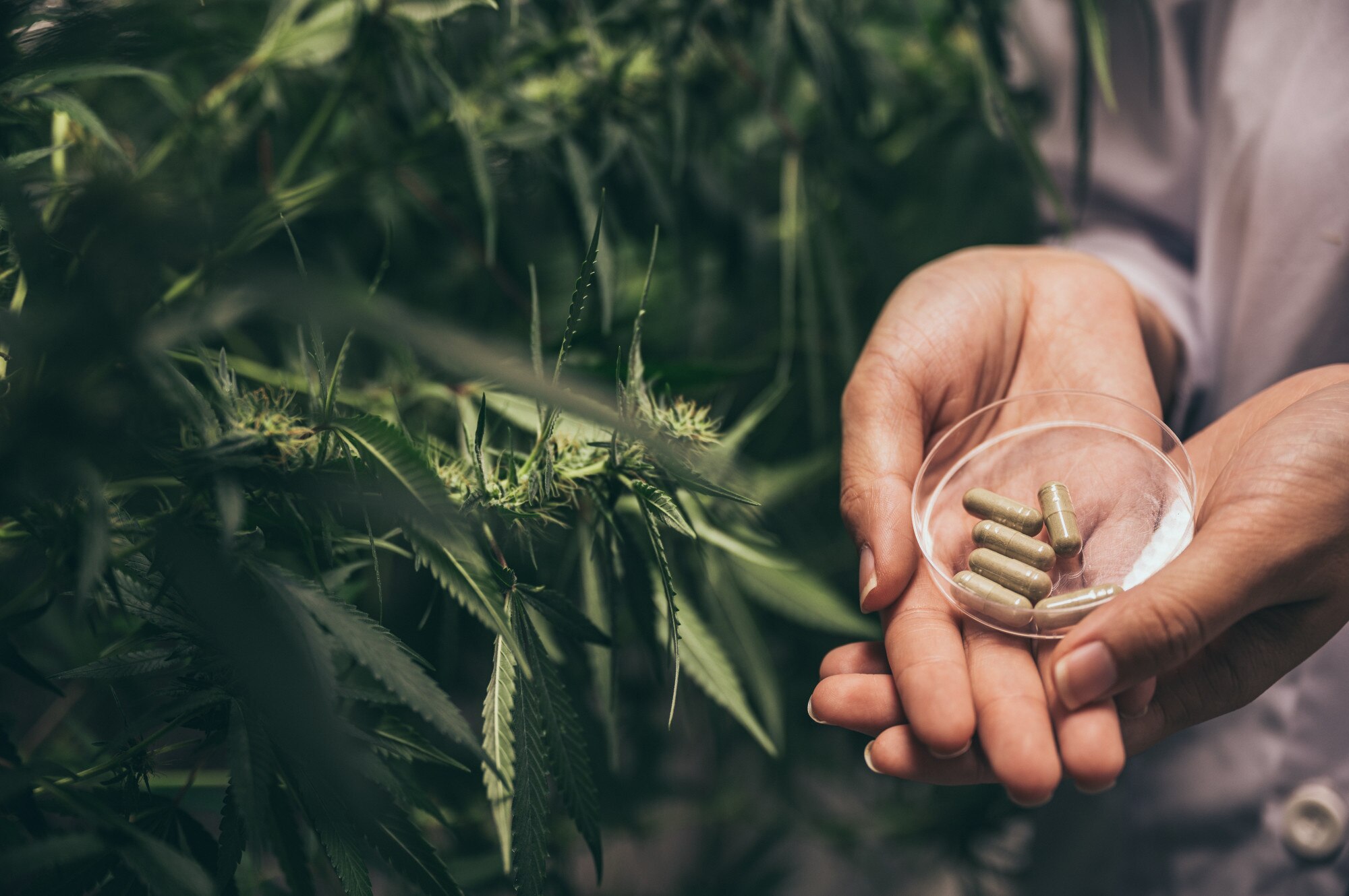 Finding Your Perfect Dose: Tips for a Safe and Enjoyable Cannabis Experience