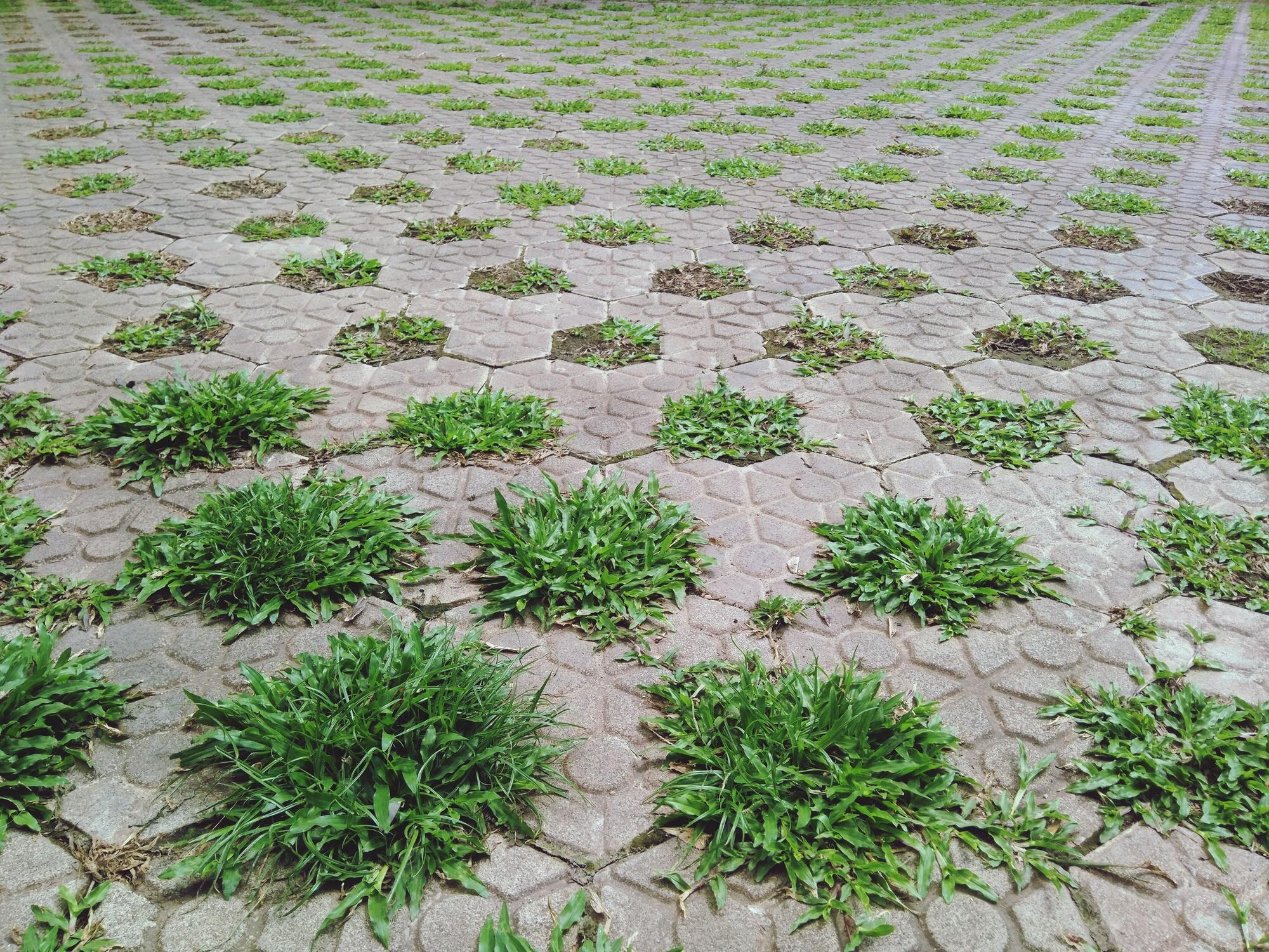 alt="concrete Solutions by Calcleanseal in San Diego county'