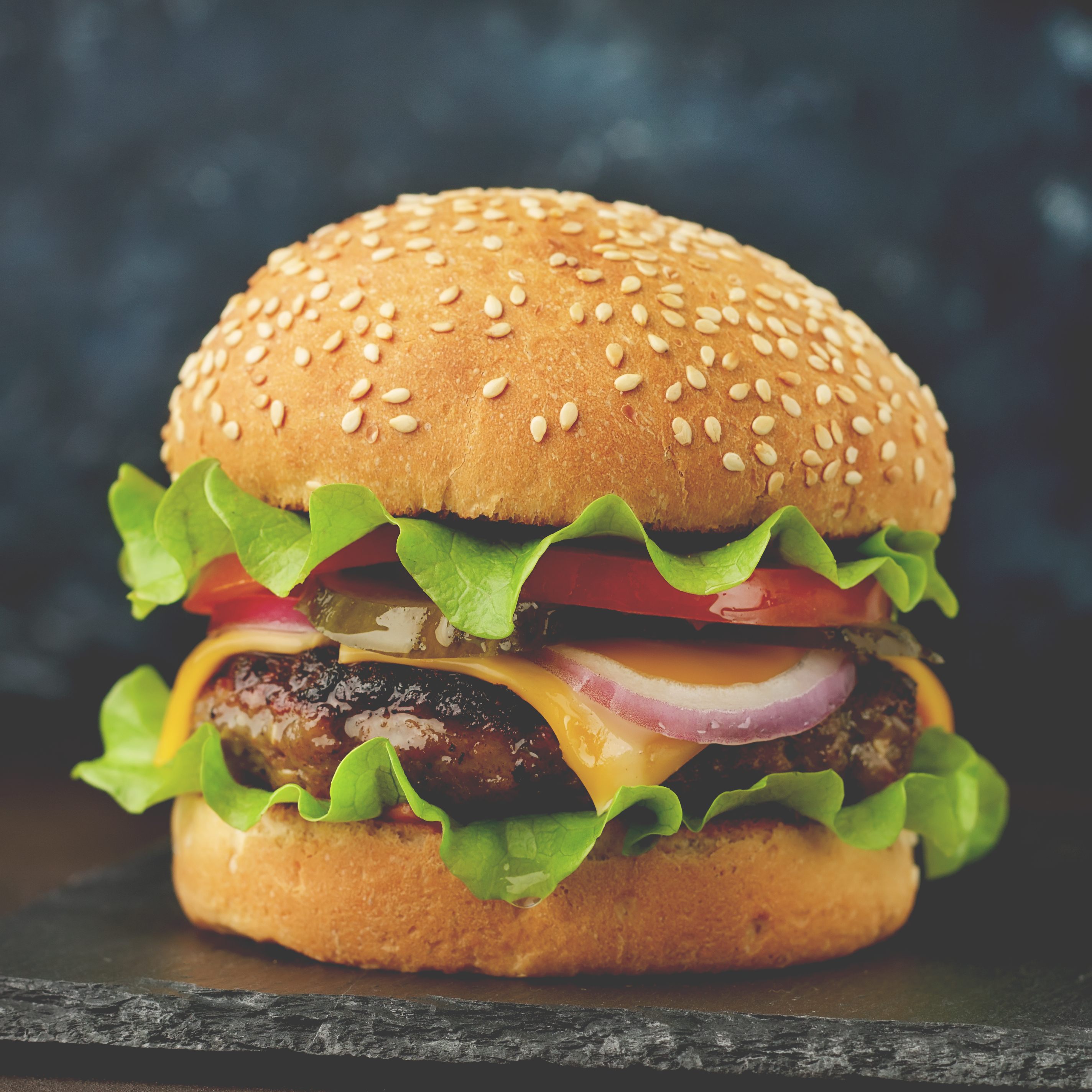 homemade burger with beef cutlet cheese salad t a956a26e006073bfb159