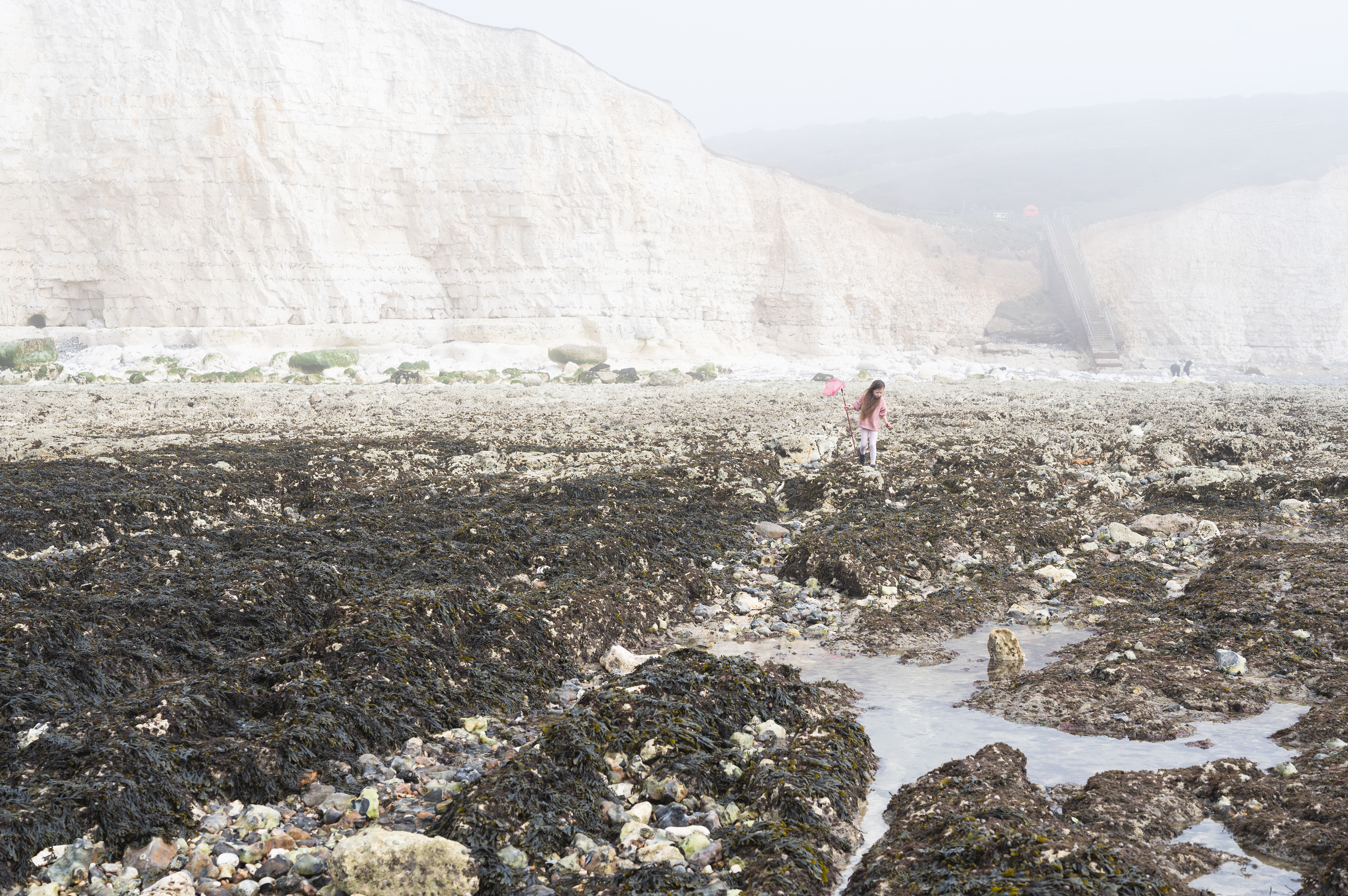 hope gap beach near seaford on misty day 9507772e33be7e5e1d05 BTOURS