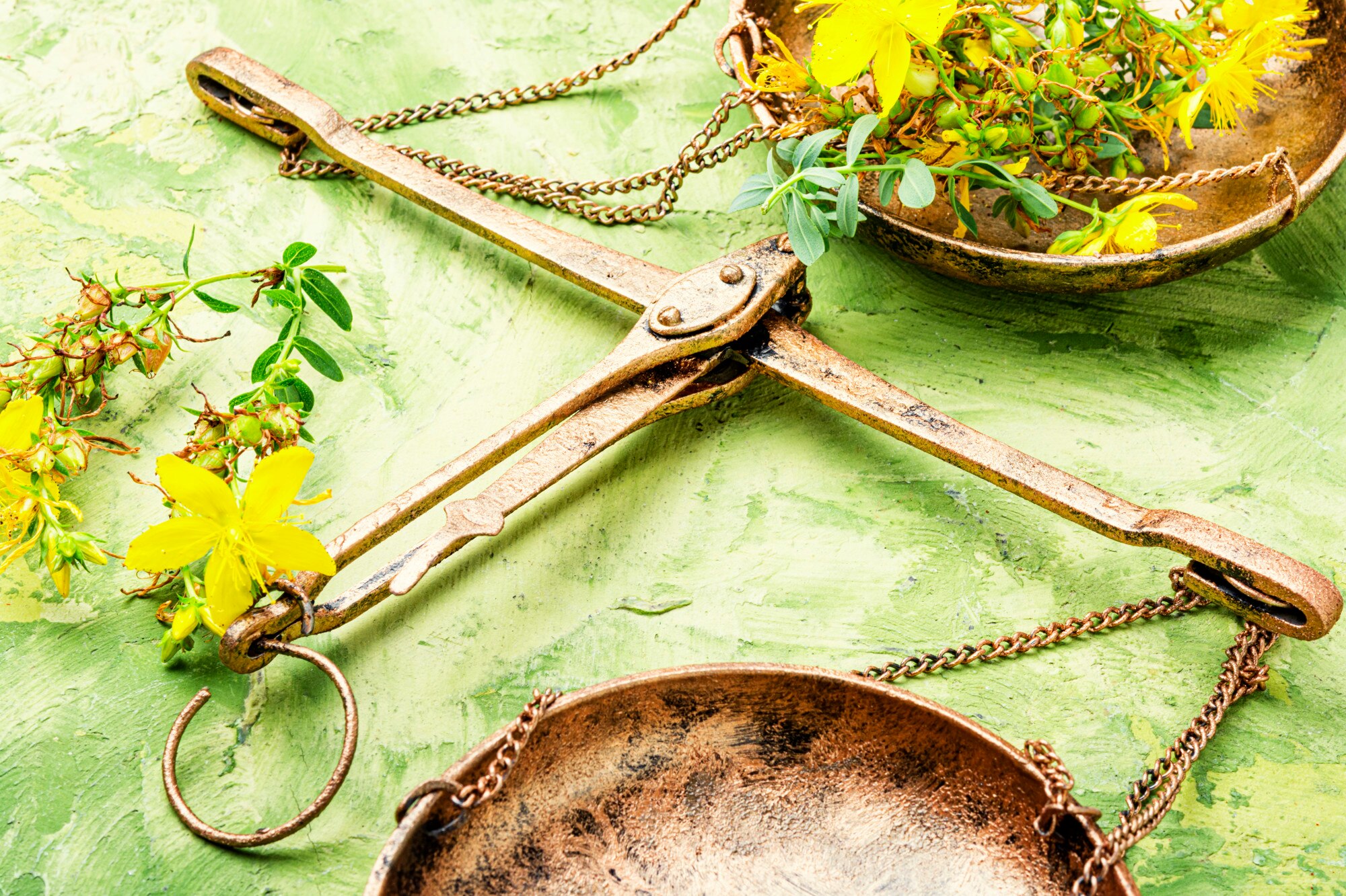 Harmonizing Healing: Safely Blending Natural and Conventional Cancer Treatments