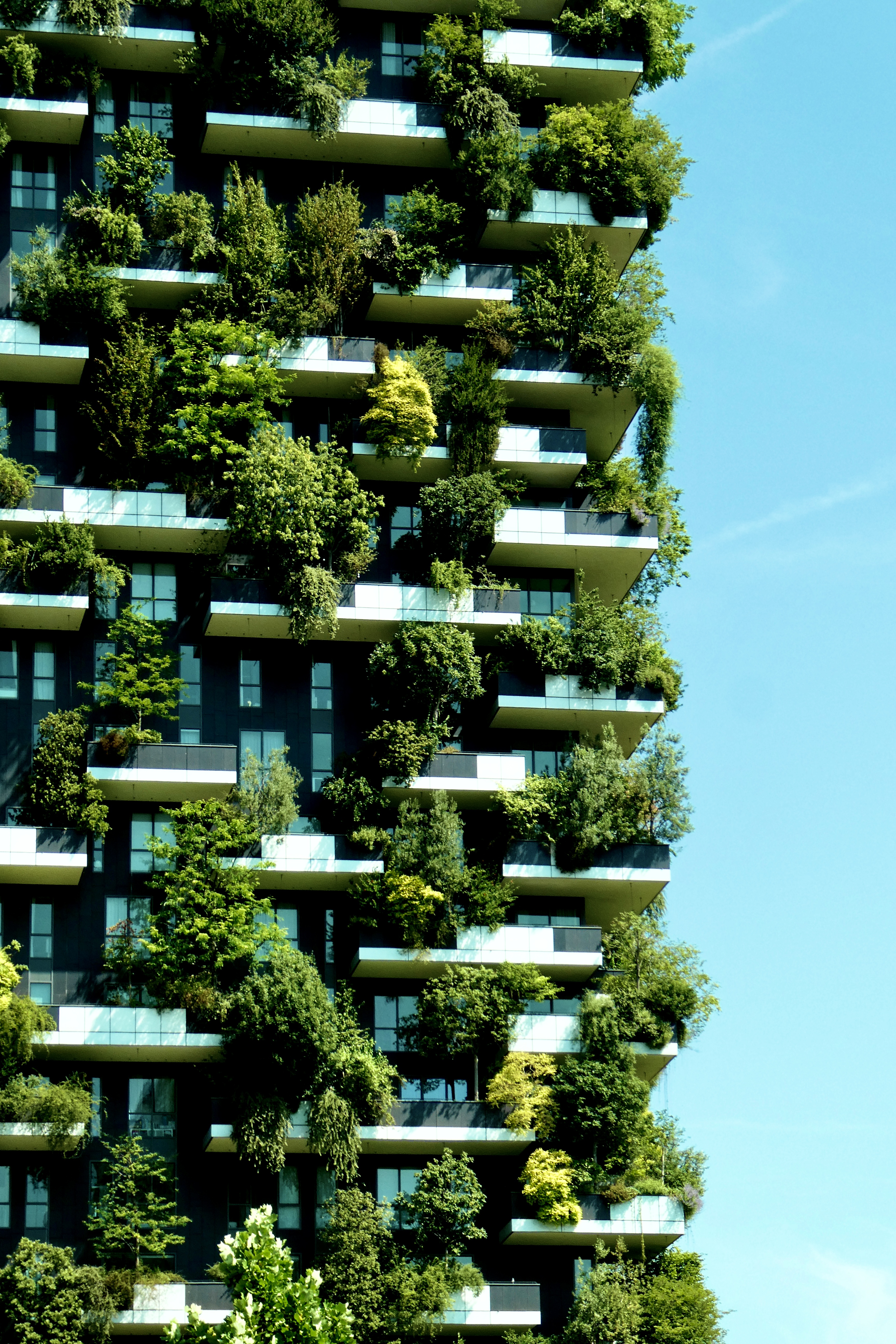 iconic green building c780e9e32a911aa2e2ef