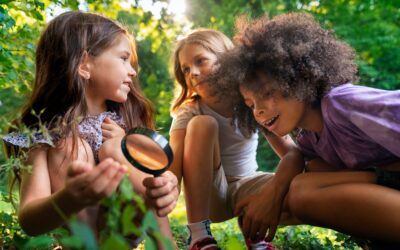 mini beasts in the garden