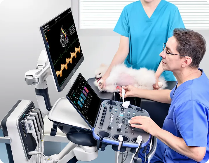 image 3b552b2252bd9a6e22d7