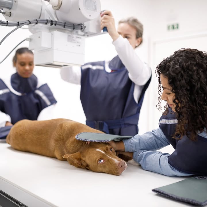 image 4a02bd7df55bbe57b479