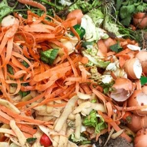 composting for families