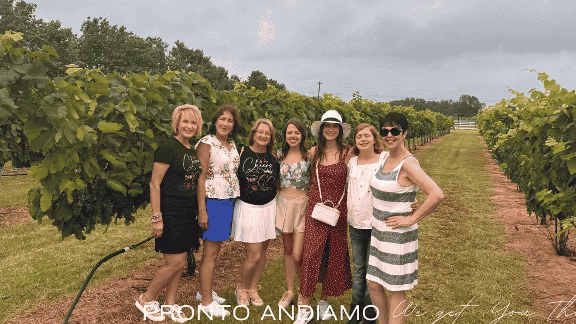 Ultimate Wine Tour Experience