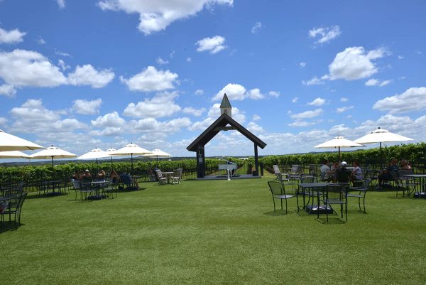 Luxury Wine Tours for the Eco-Conscious Traveler