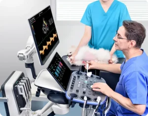 image d410be095739ef9ec06a