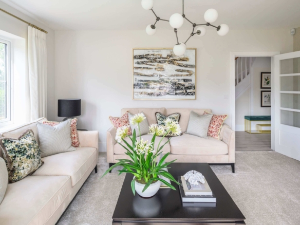 Kolaylaştırılmış Yönetim