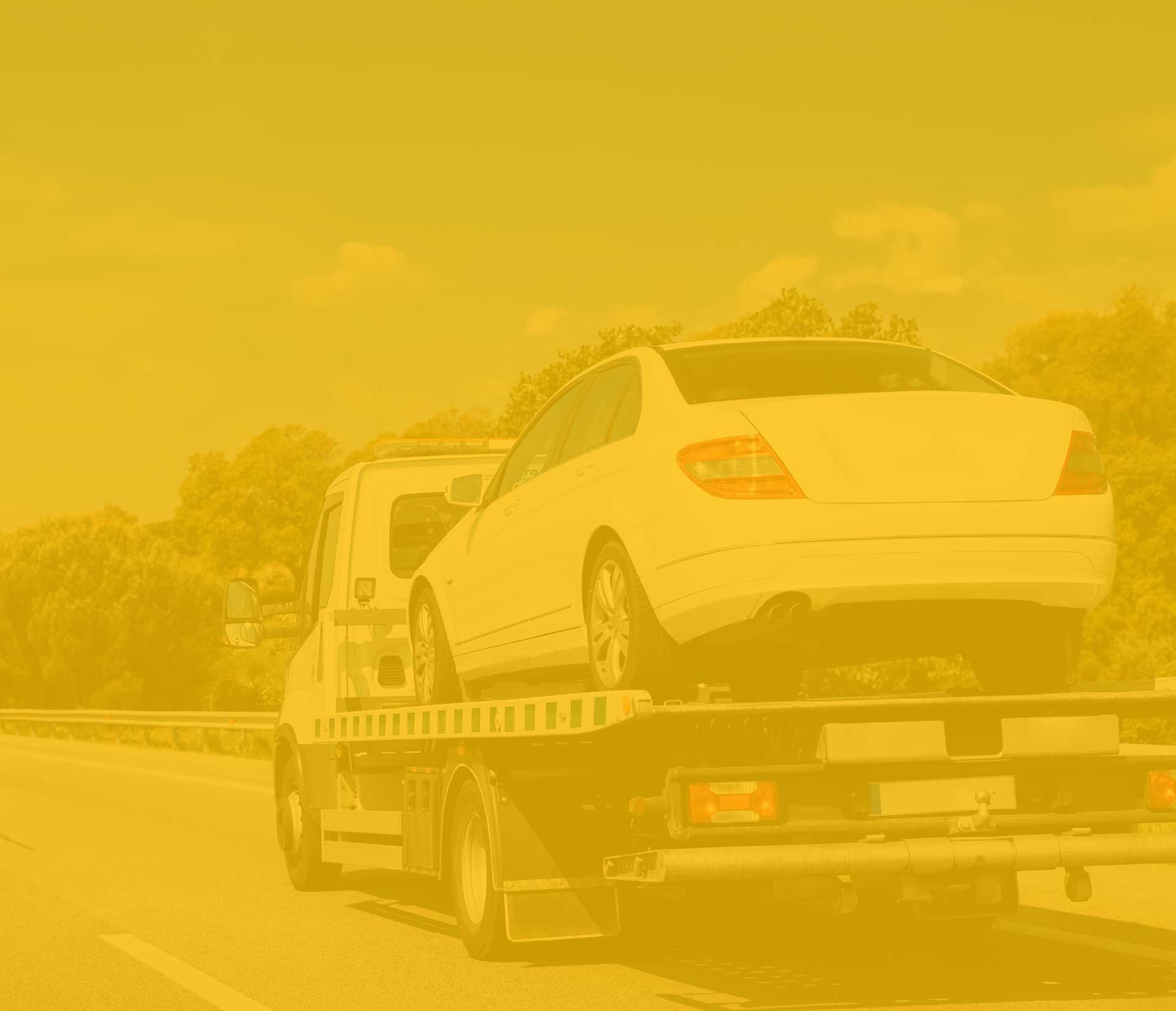 image 0 6fd77389db8738879c3f