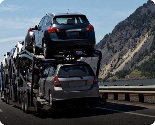 image 11 22027a776d48c6c618c3