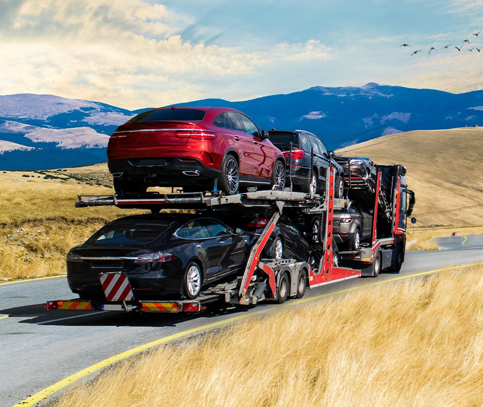 image 12 9c16980fa62fce4a3e42