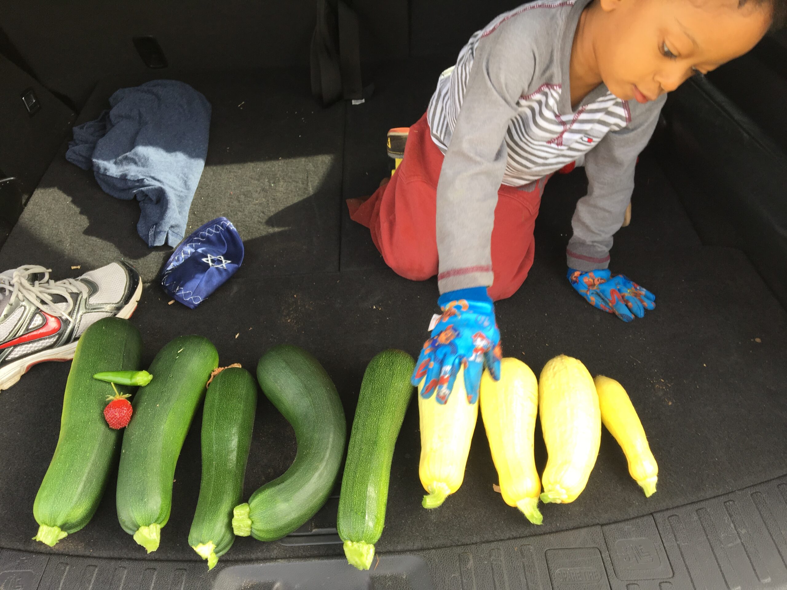 Image 8 3fc86fba440752bb0945