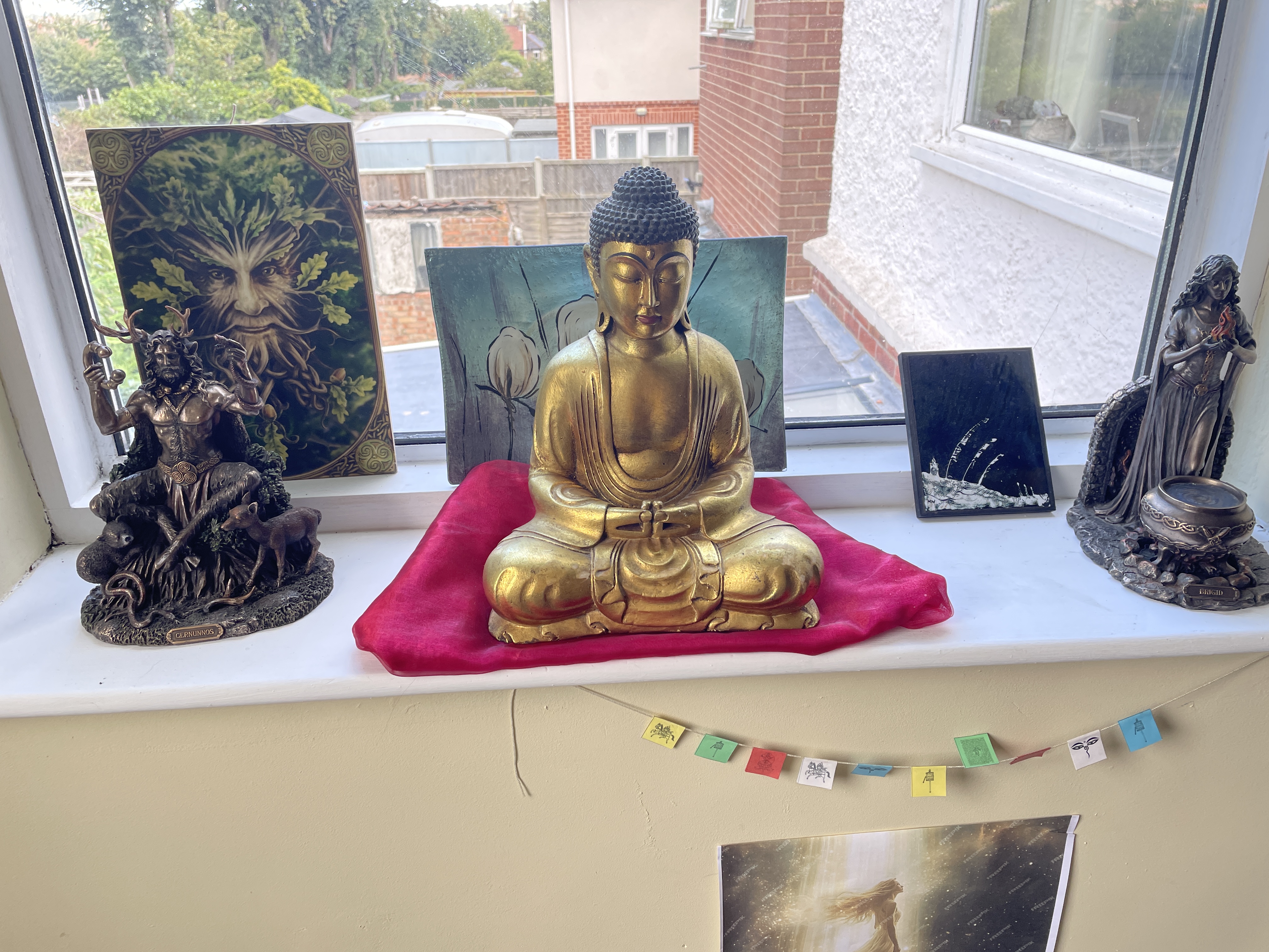 img 1472 16154c6dfb917bedd990