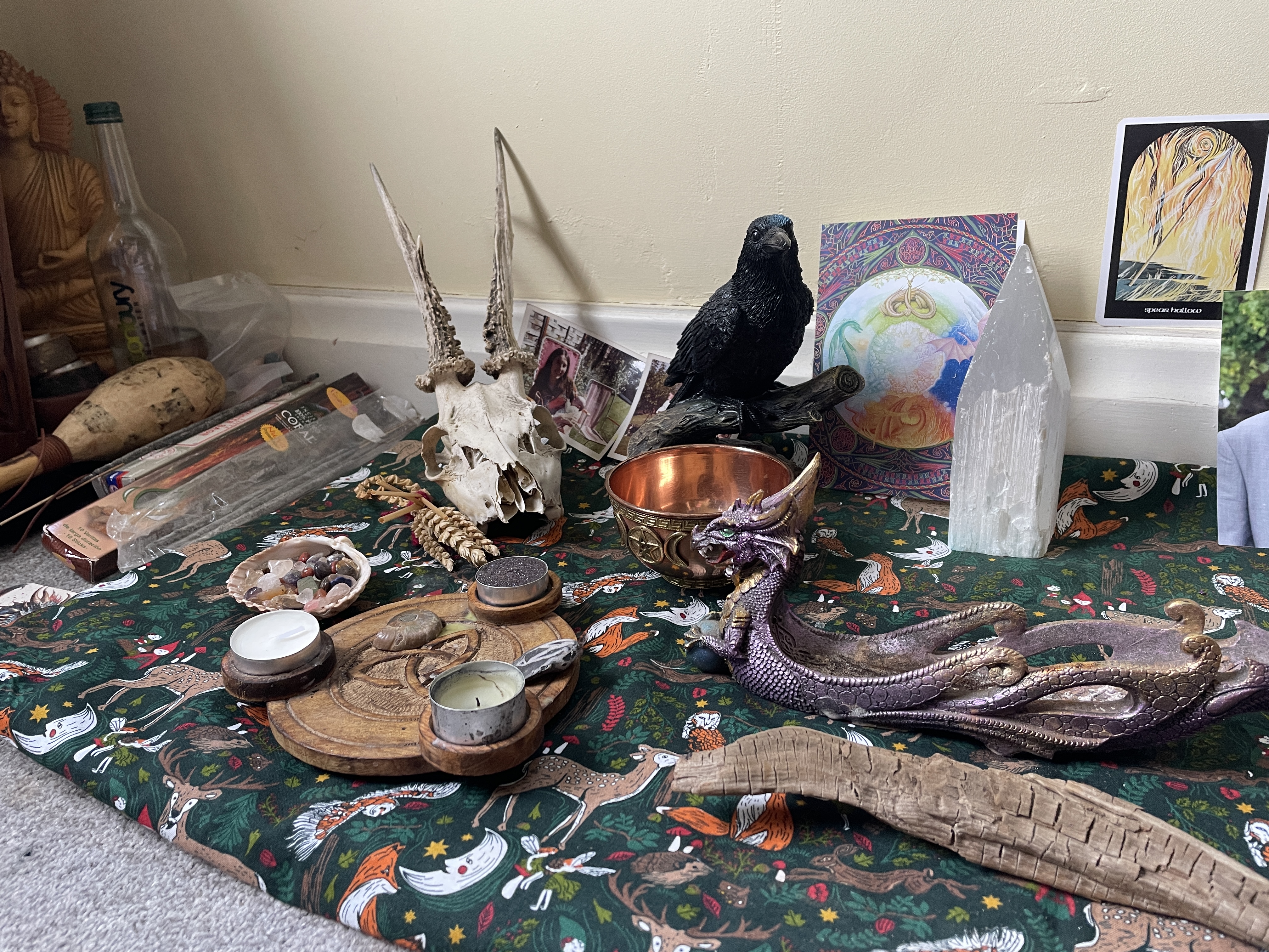 img 1473 0ebc79b736a27ebce5e5