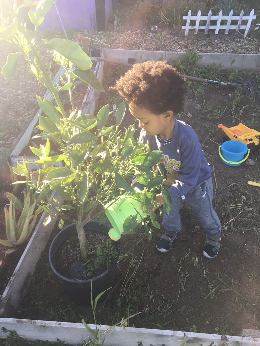 Sow the Seeds of Learning: Support a School Garden Build! Img 4560 Da97bac201a789115cf0