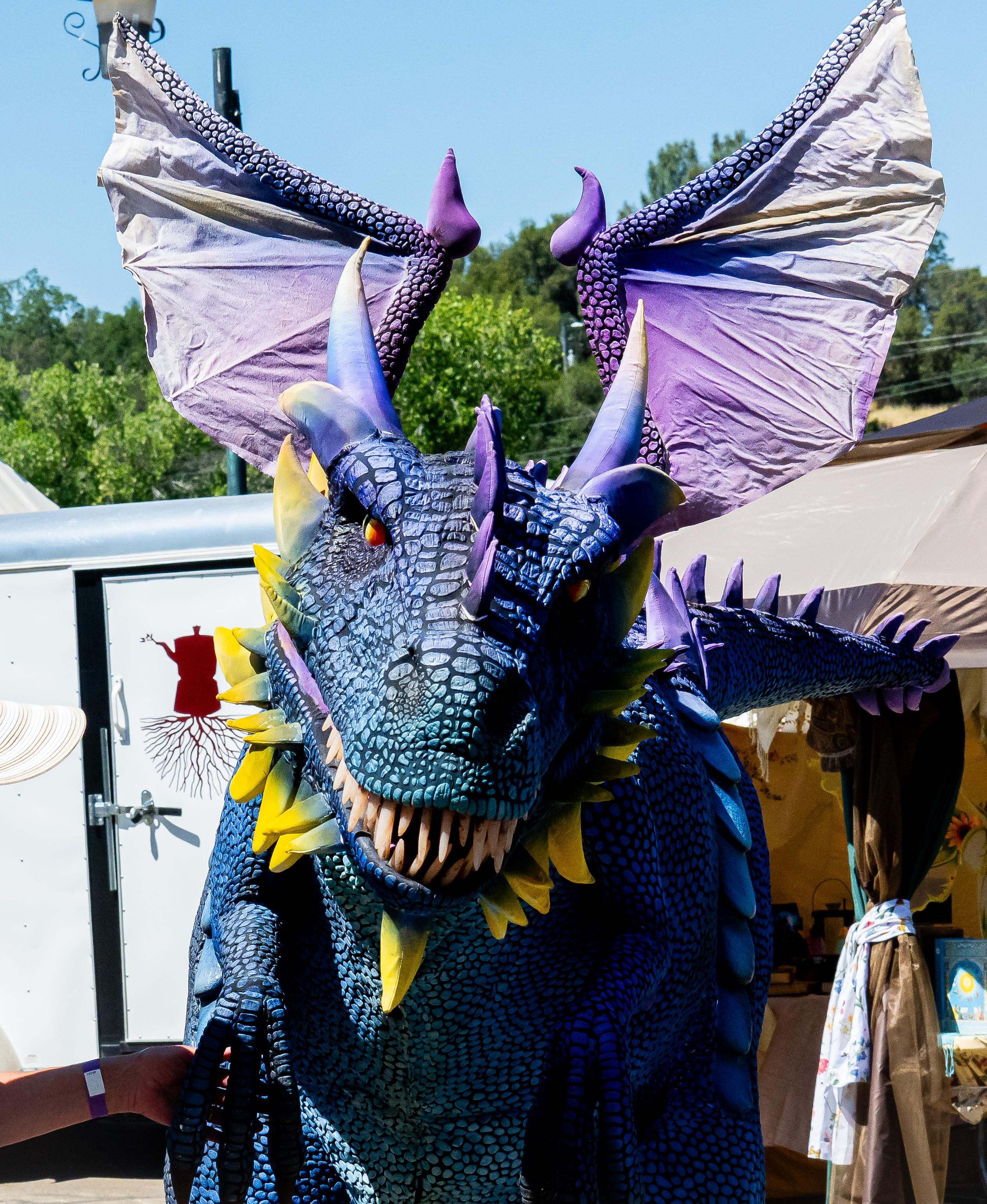 Hear ye! What to Expect at Yosemite’s Chivalry & Fantasy Festival