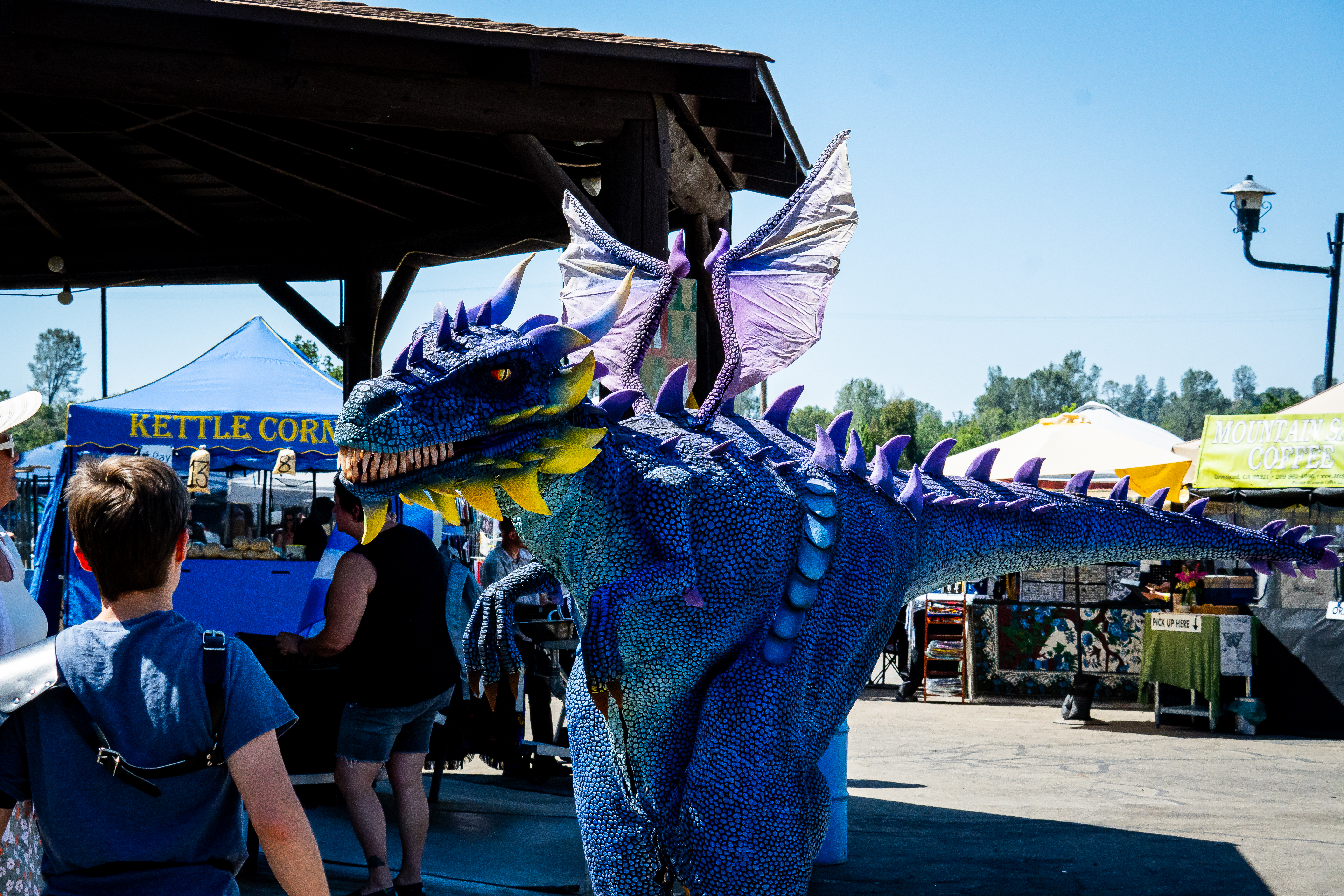 Hear Ye, Families! Top Family-Friendly Quests at the Yosemite Chivalry & Fantasy Festival 2026