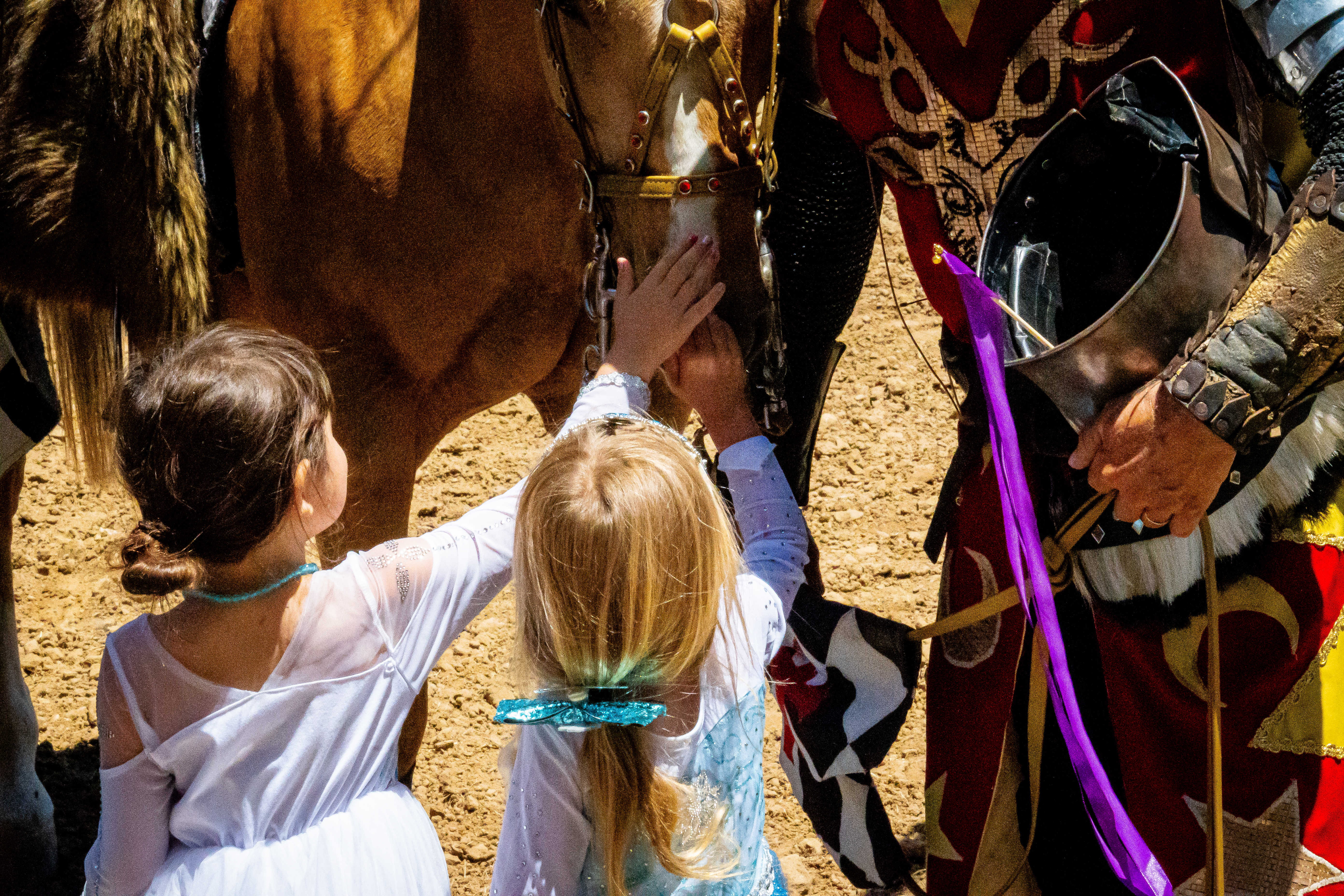 Hear Ye! Discover the Magic of the Yosemite Chivalry & Fantasy Festival — A Family-Friendly Quest Through History and Myth!