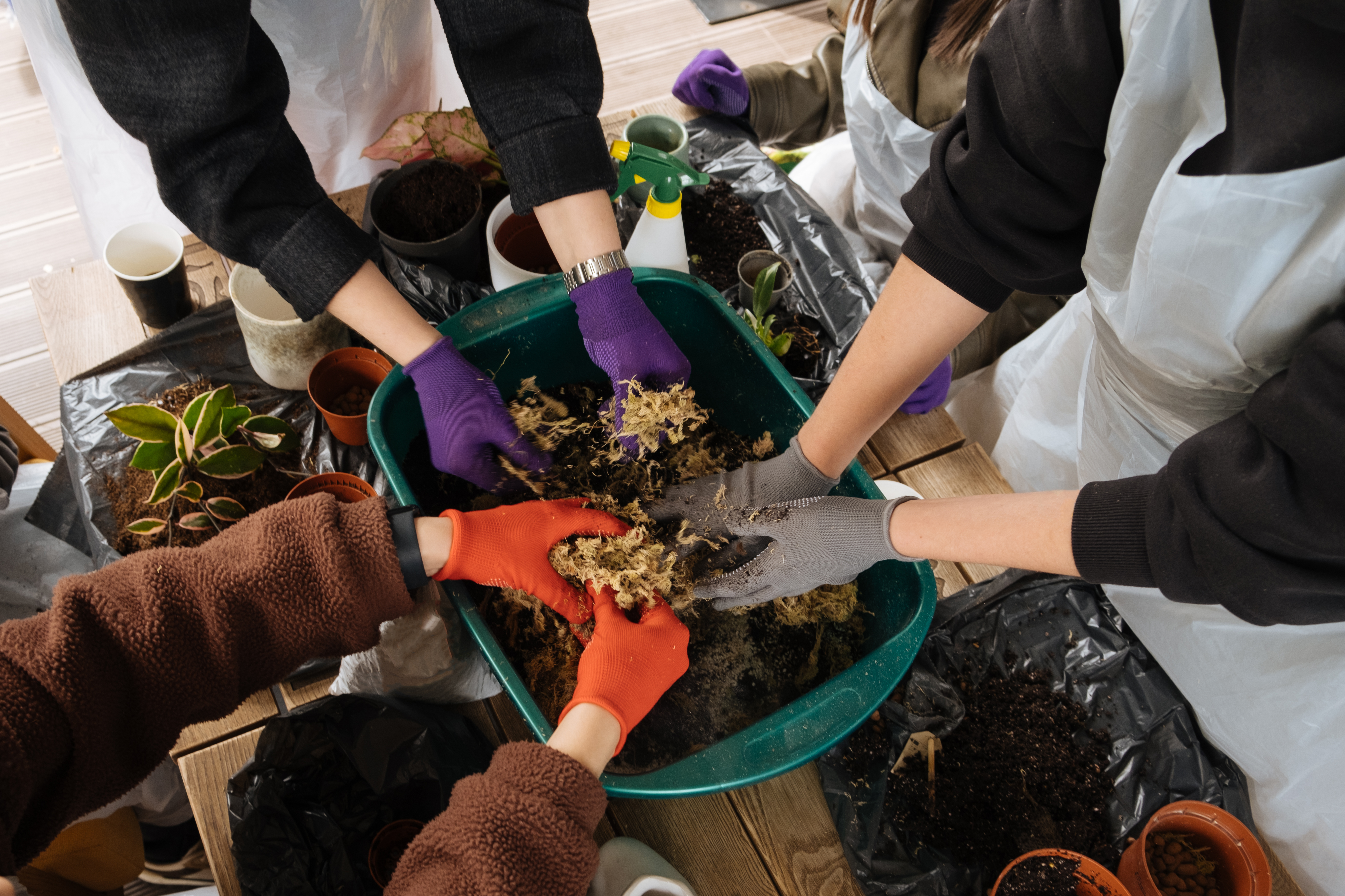 Unlocking the Secrets of Sustainable Gardening: Tips to Empower Your Green Journey Join Us For A Community Planting Workshop With Exc Da2ab48acc9056384e25