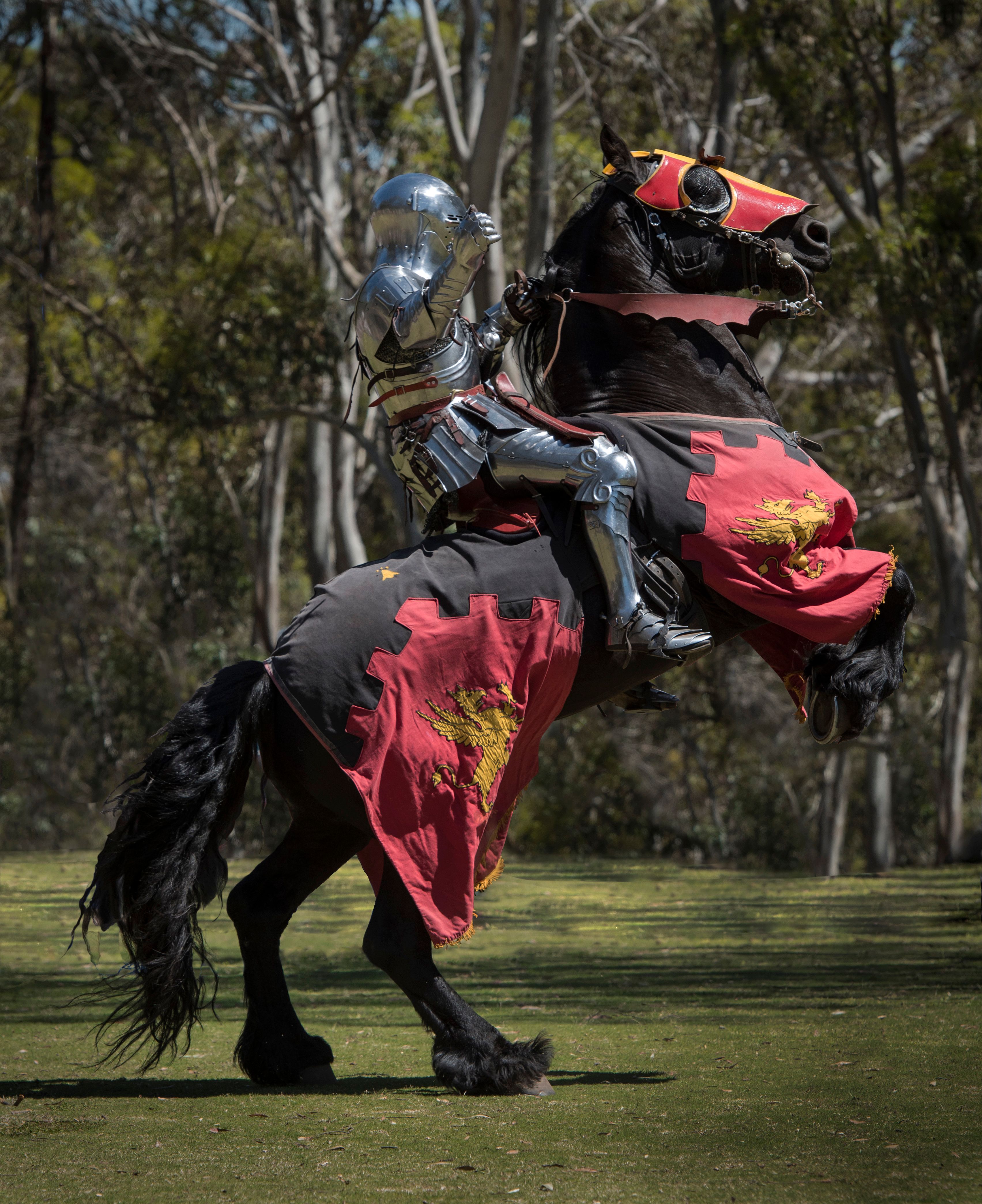 Unlocking History's Magic: Engaging Kids at the Yosemite Chivalry & Fantasy Festival!