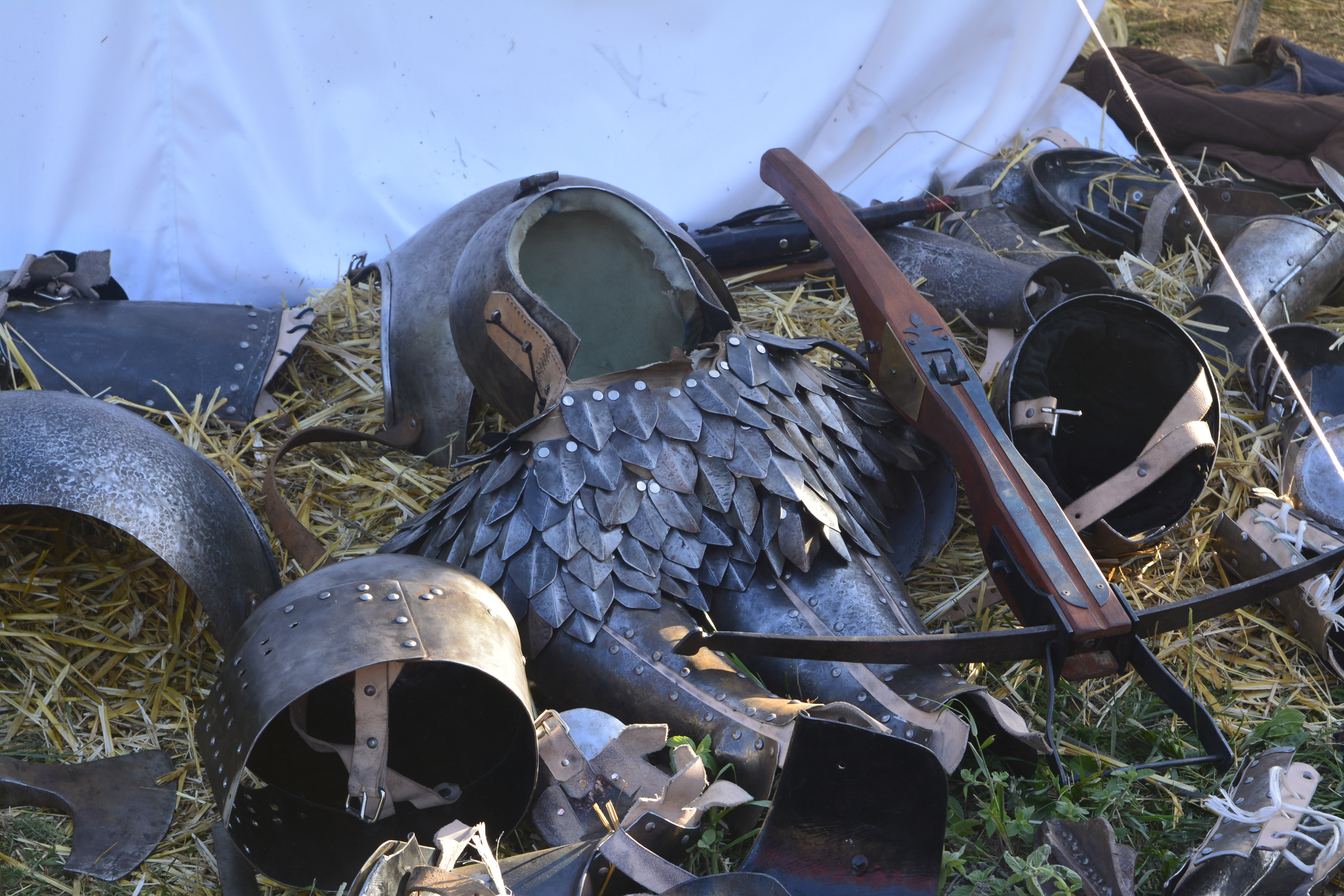 Unite the Realm: The Power of Community at Renaissance & Fantasy Festivals!