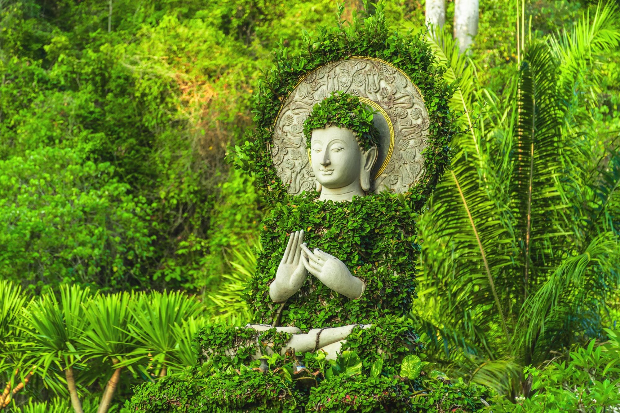 landscape of beautiful sunrise at khao na nai luan f9467b1984c73a938640