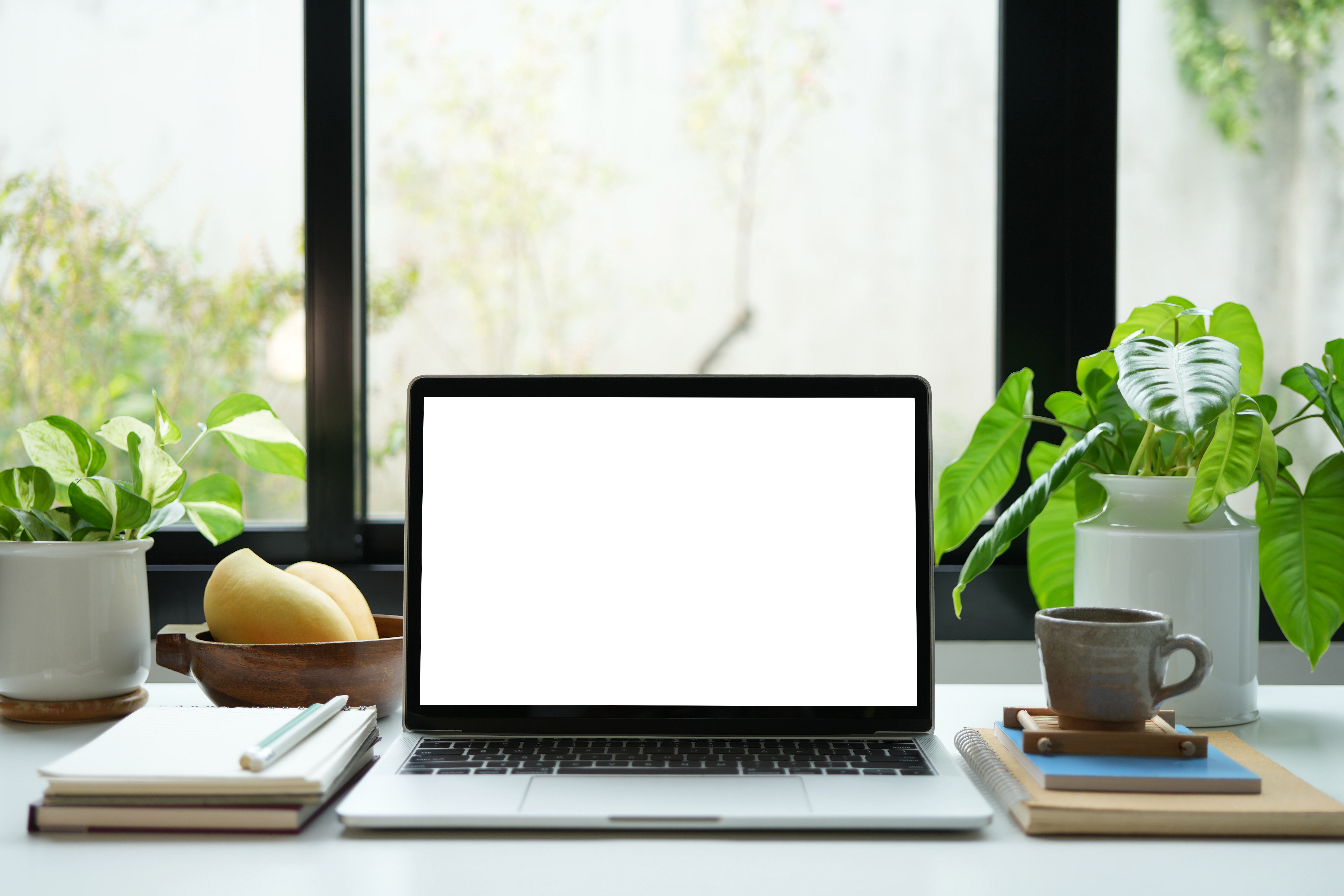 laptop white screen and drink cozy indoor work sp 5c9f960b46092c7d016b