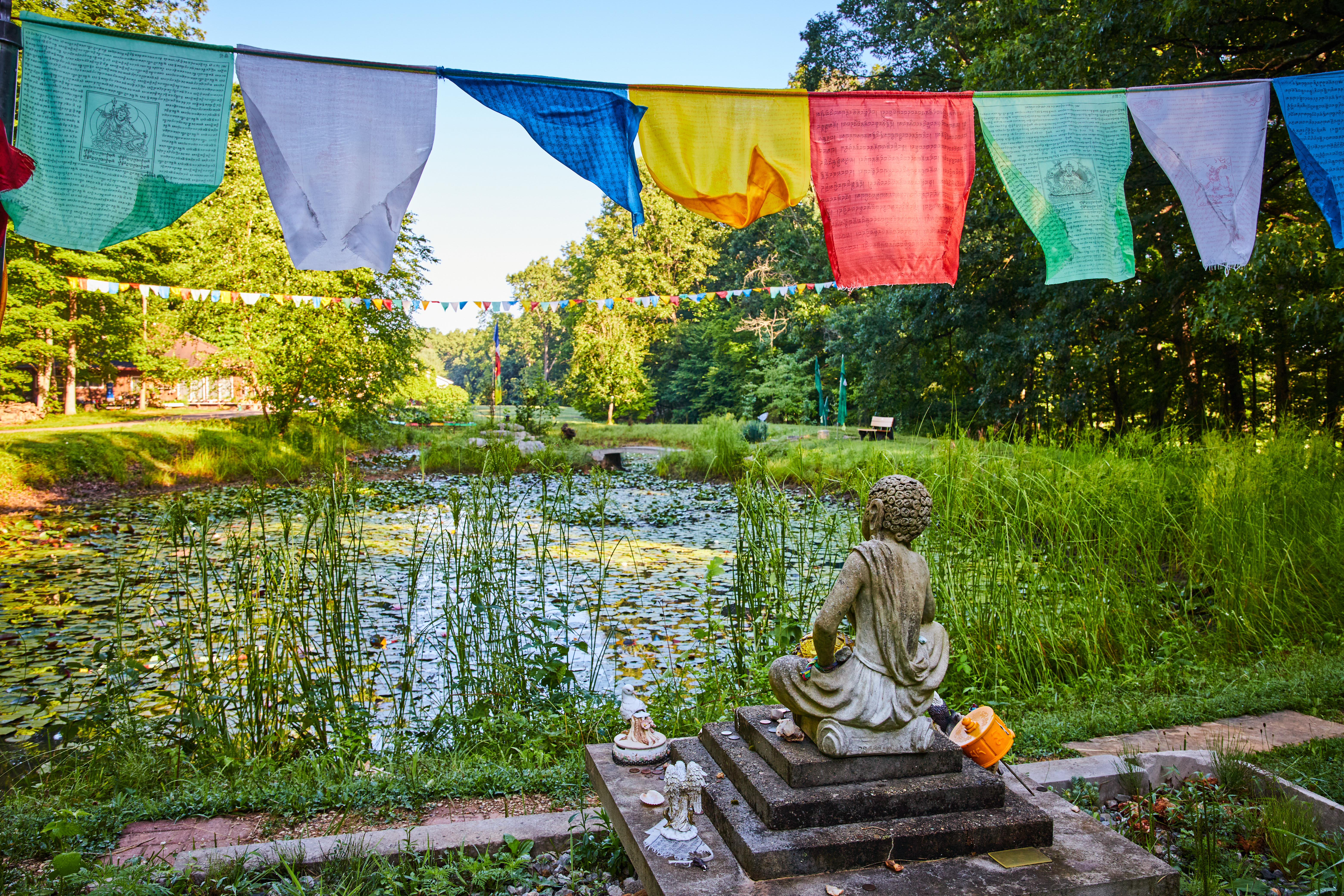lily pond from behind tibetan mongolian buddhist s c0e998ce44a8f17902d9