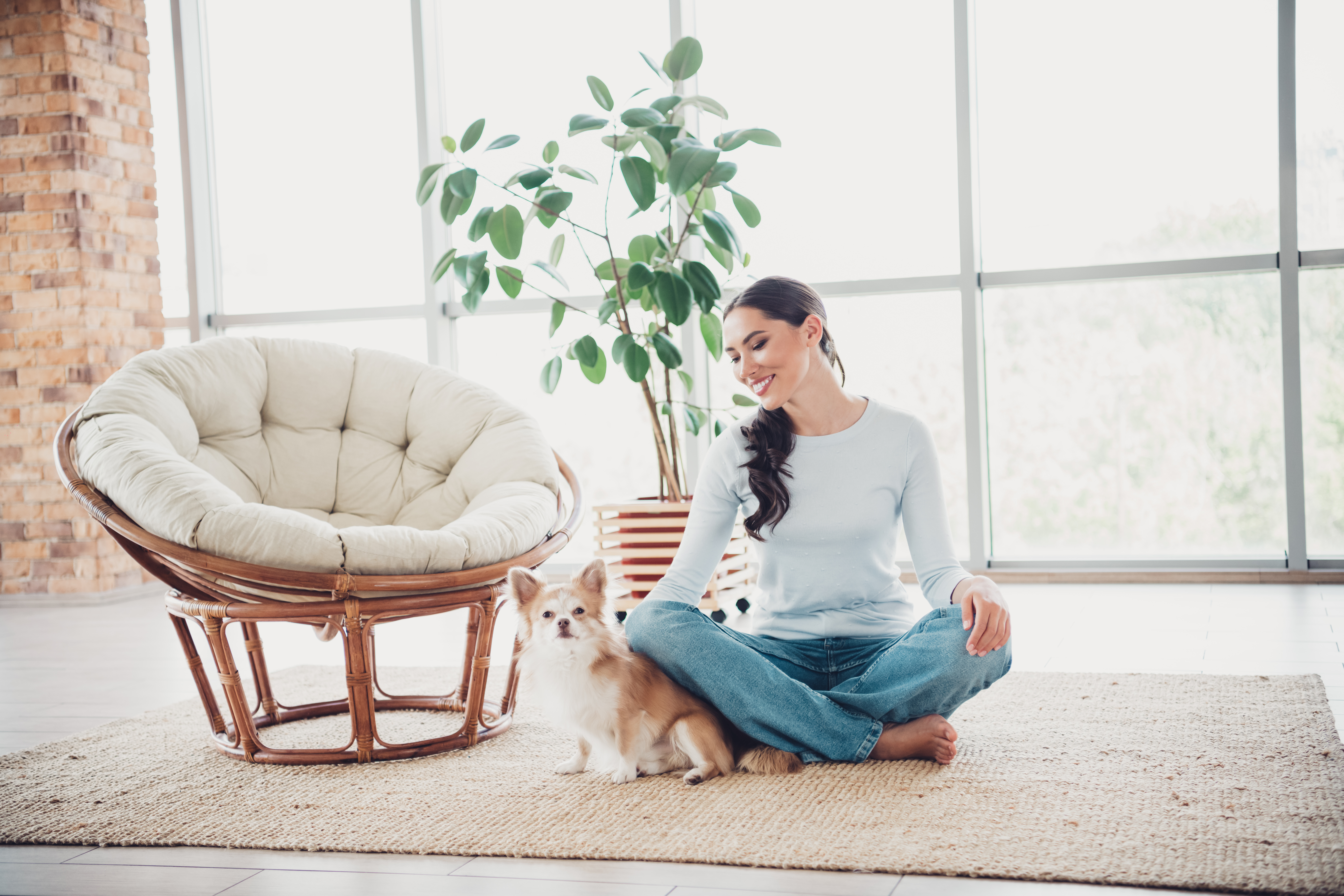 Empathic Pet Sitter in Tallahassee