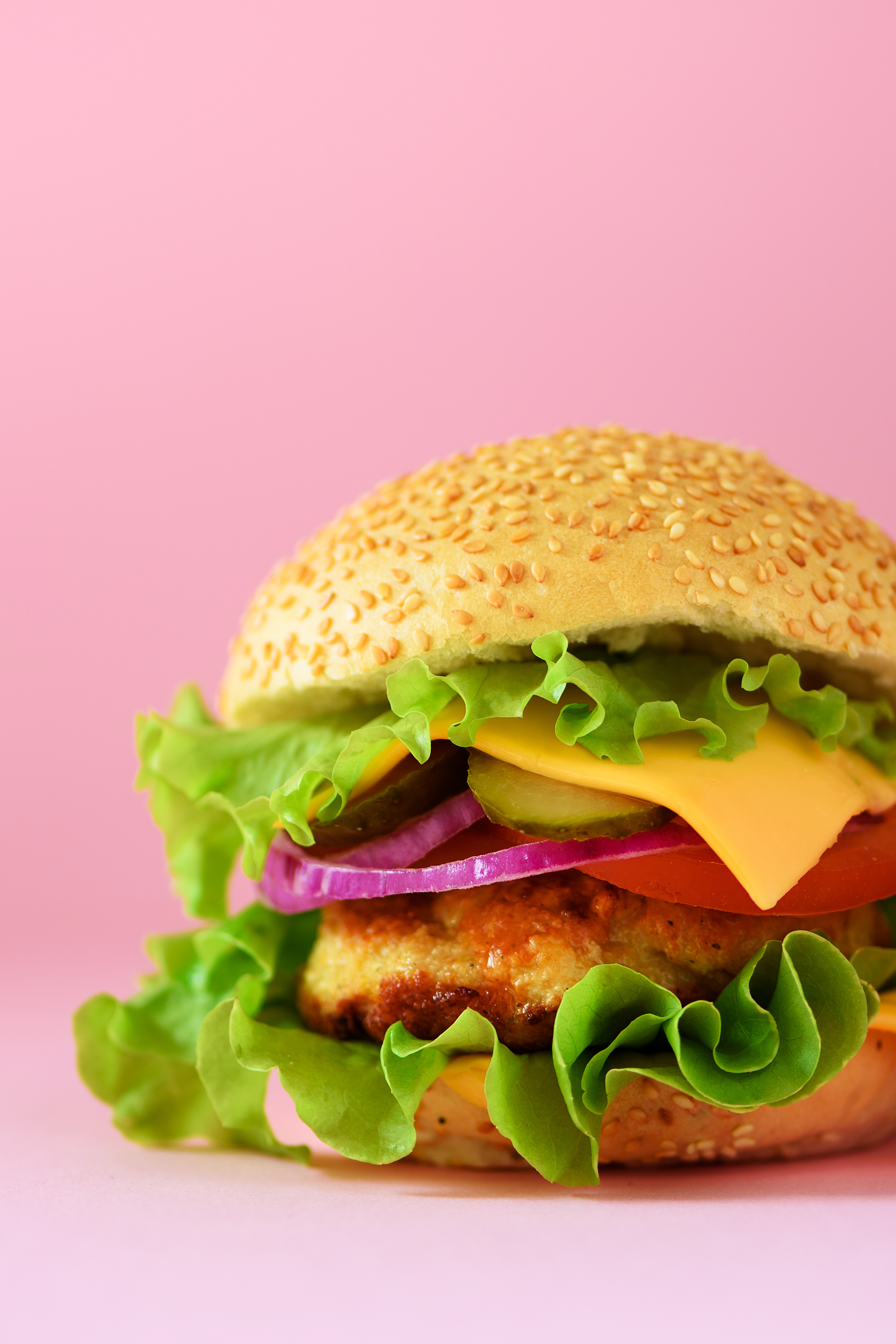 macro view of tasty burger with beef cheese lett 5044d0ead21863561999