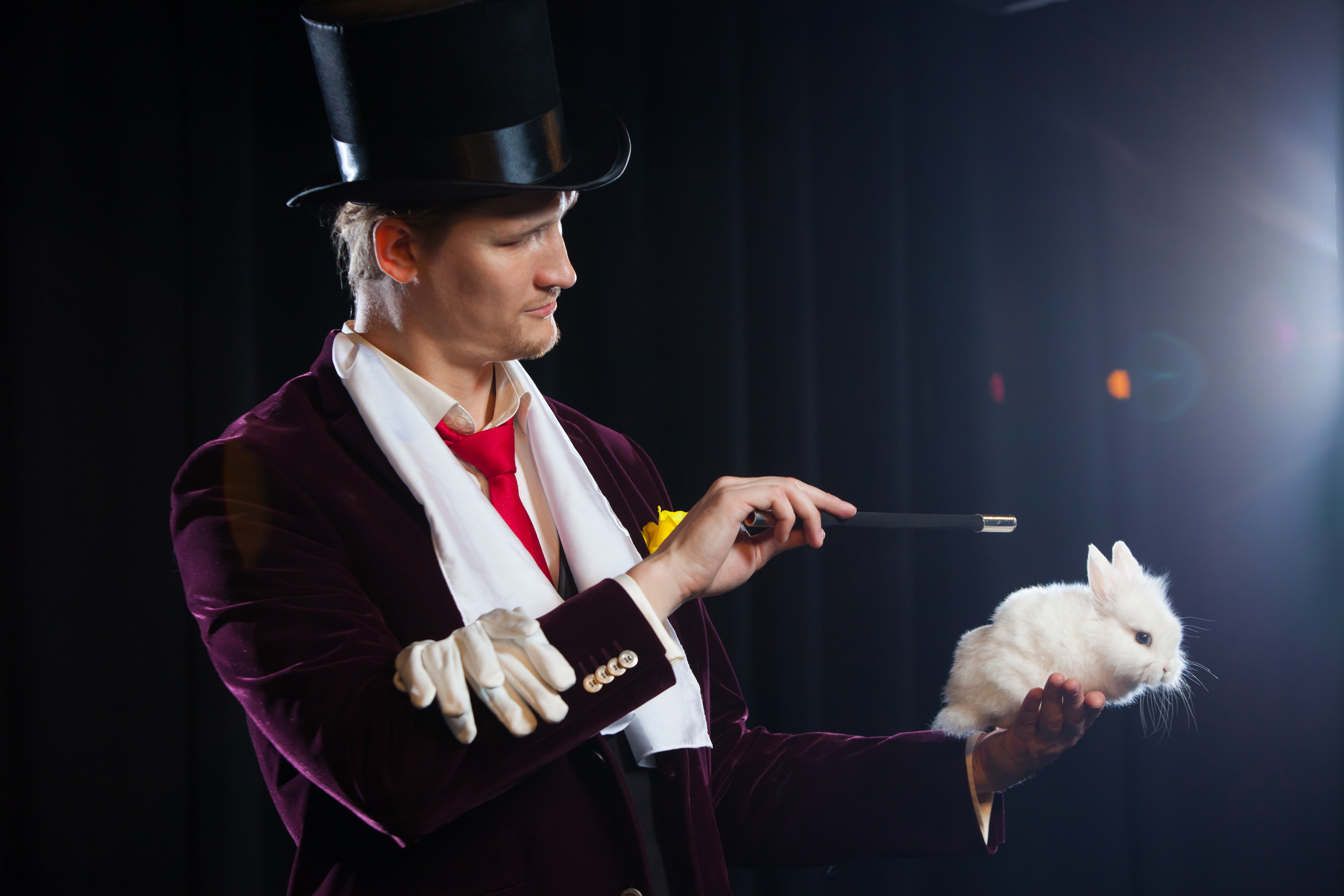 magician with rabbit juggler man funny person b 136b39ee6c7225d634ee
