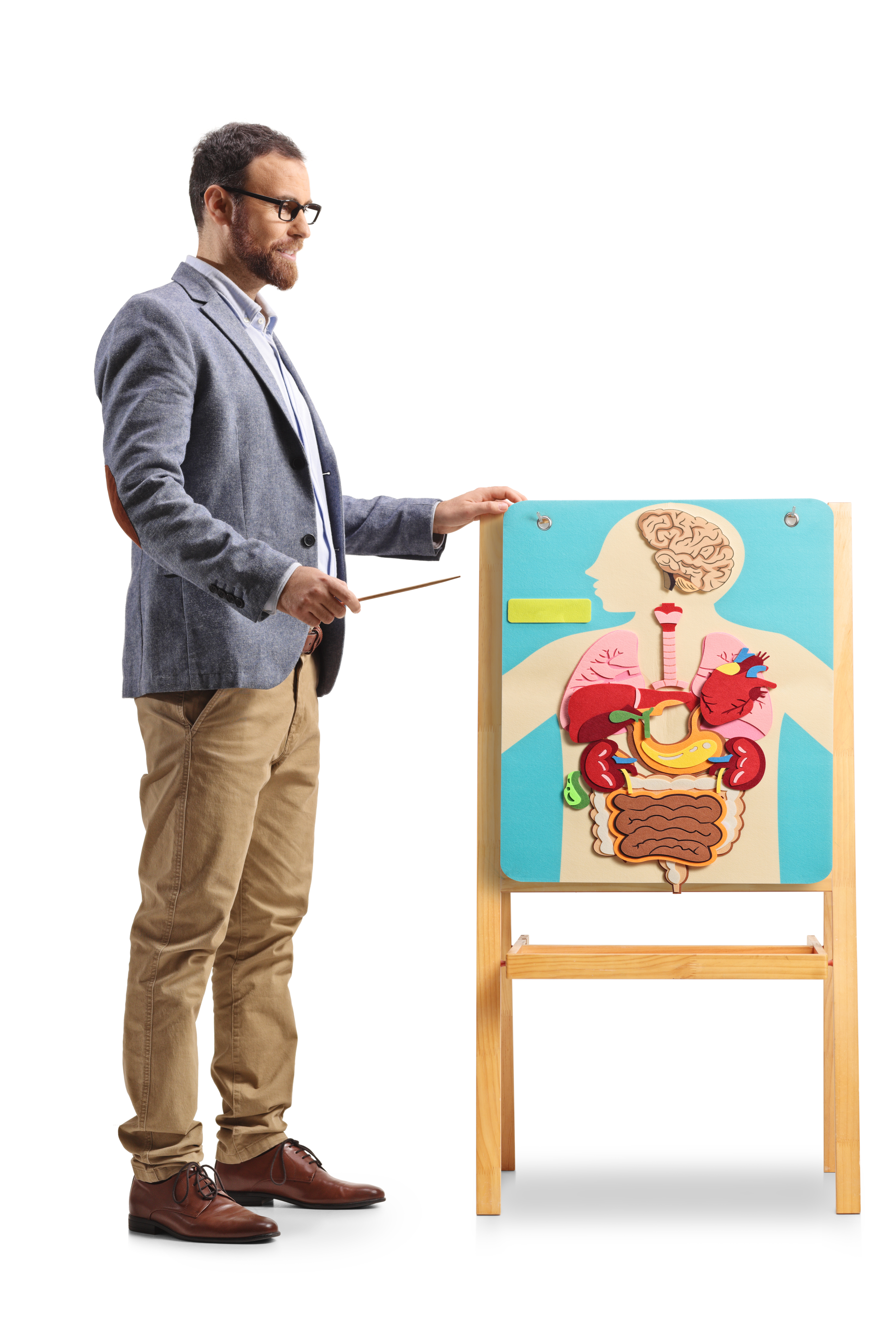 upsize matters clinic for penile enlargement with dr. joel pash and jason yun circadian rhythm and mitochondrial health coach