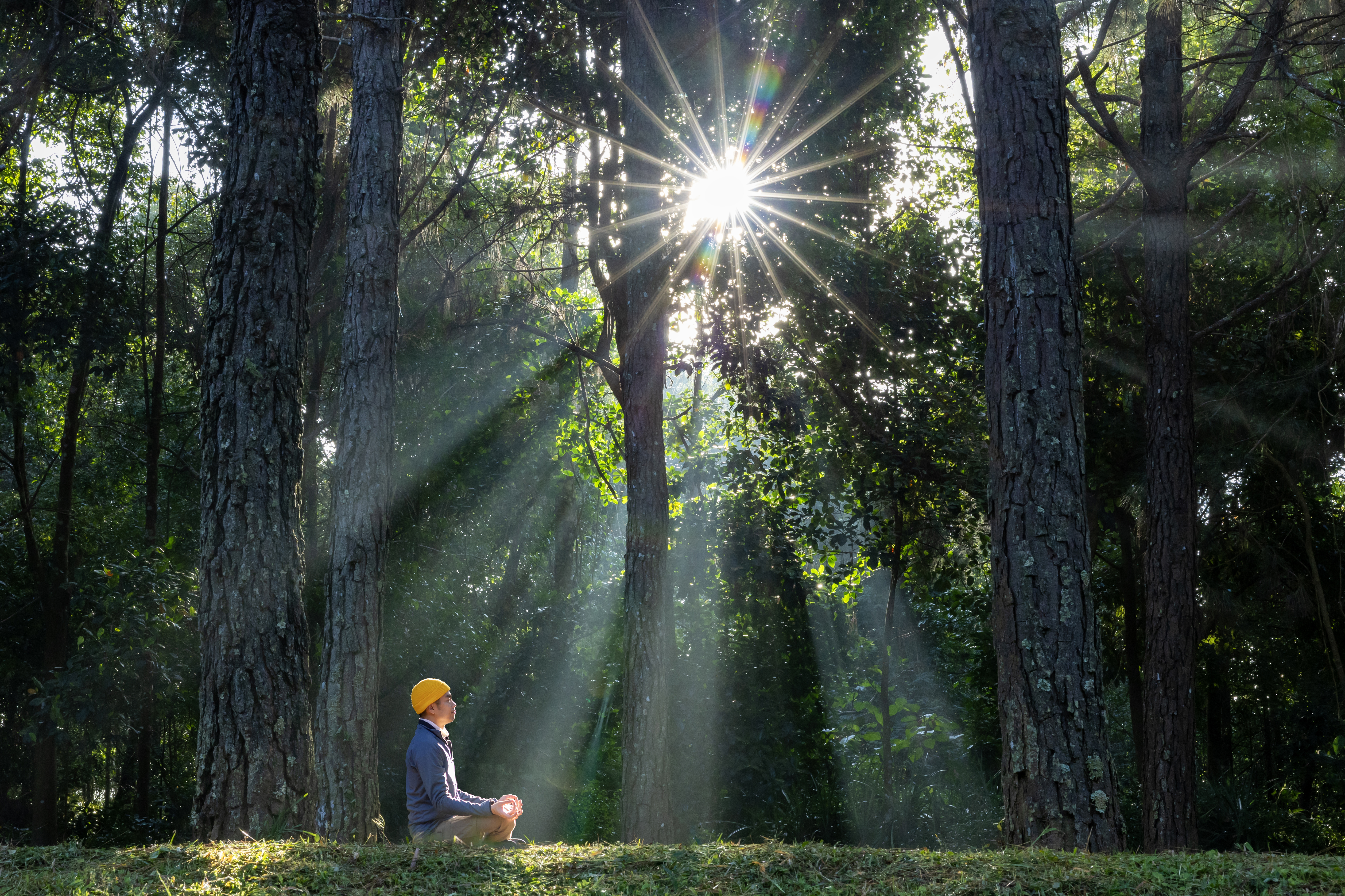 Mindfulness Practices to Ease Chemotherapy Side Effects: Finding Peace in the Storm