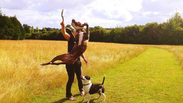 pet sitting tallahasee