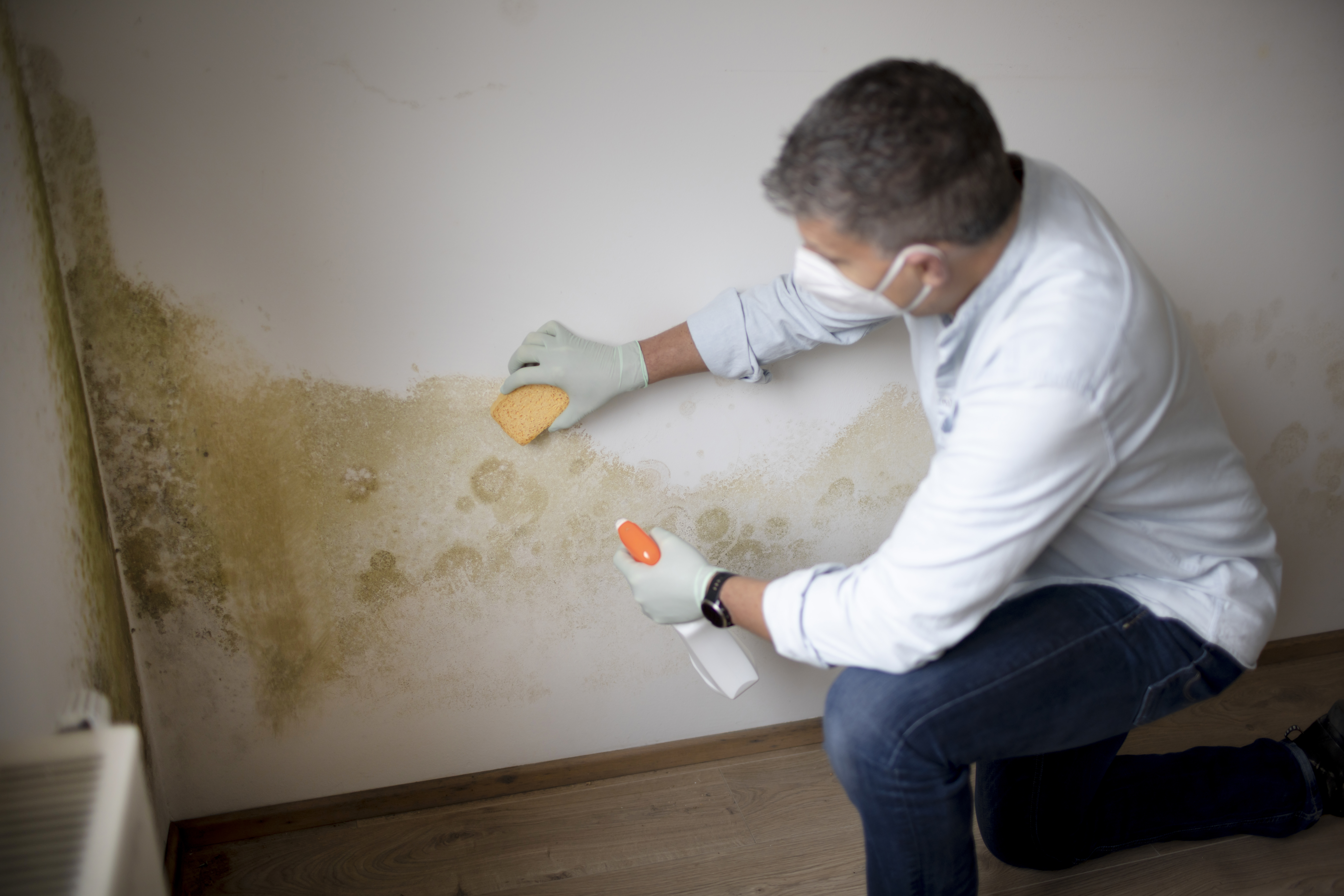 man with protective mask tries to remove mold on w 4d090d4d6814ed222892