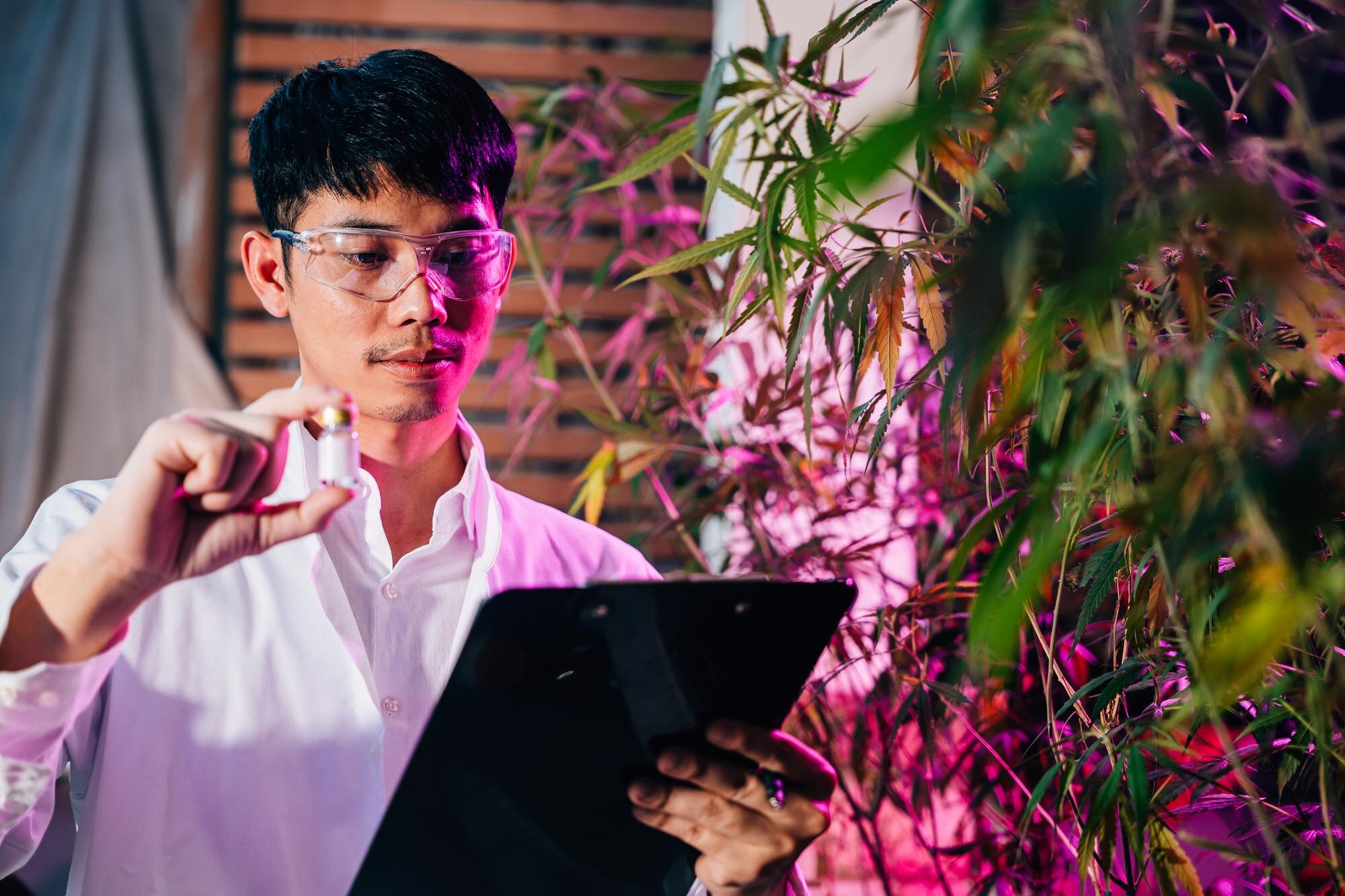 Meet Your Cannabis AI Account Manager: Automate Ops, Grow Loyalty, Stay Compliant
