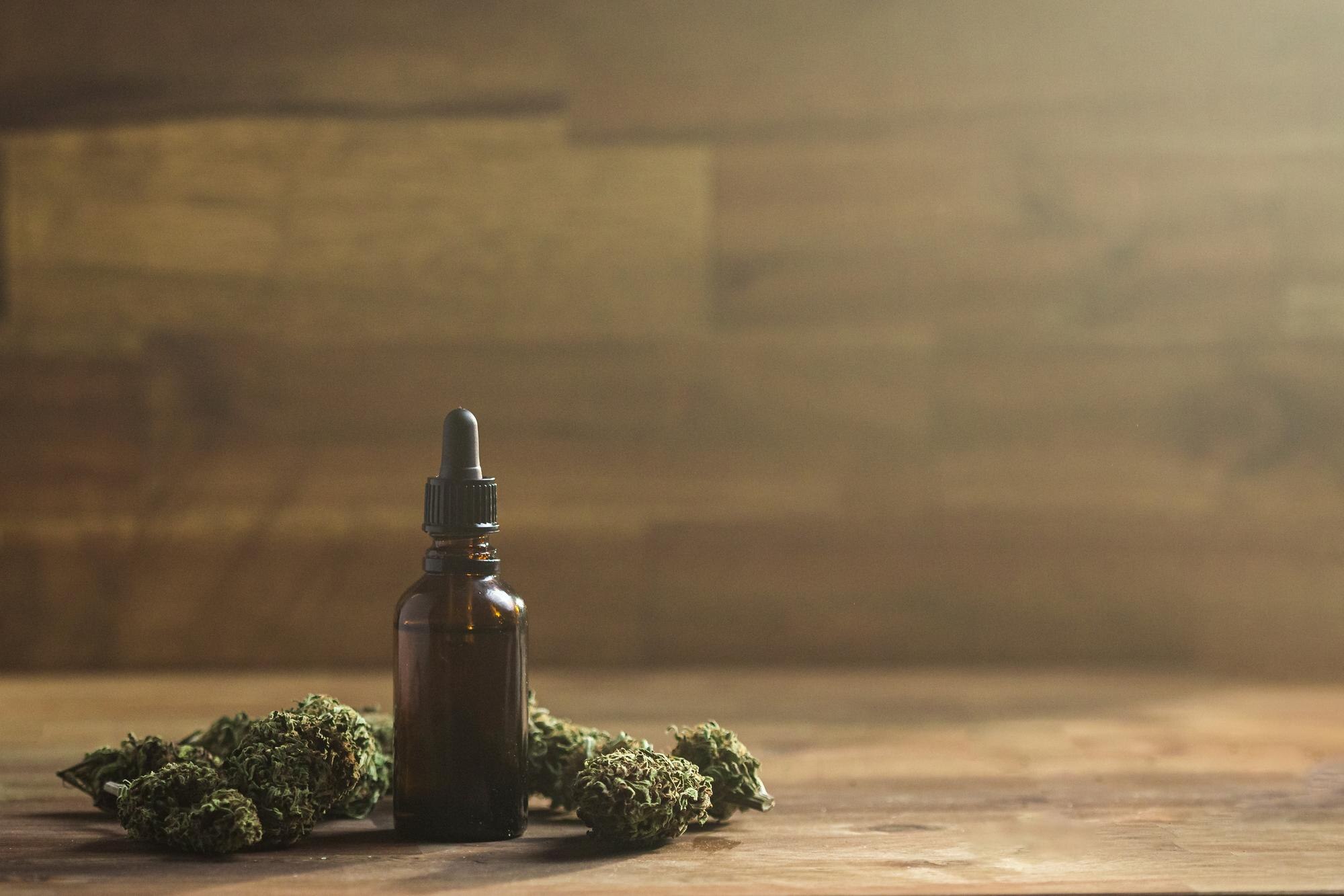 Exploring New Mexico’s Cannabis Heritage: History, Culture, and Today’s High Desert Vibe