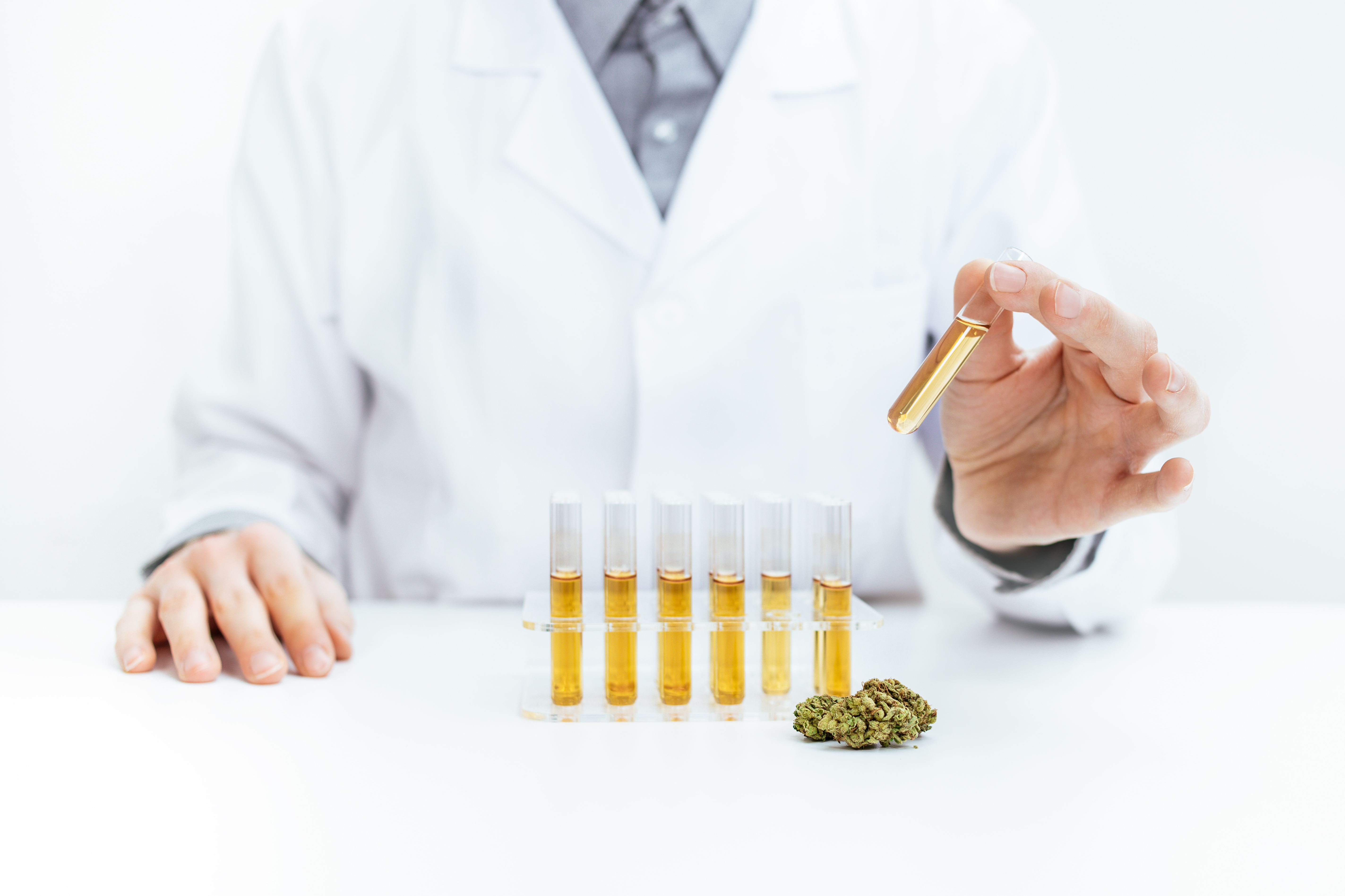 Why Quality Assurance in Cannabis Matters: Behind the Scenes at Elevation 6420