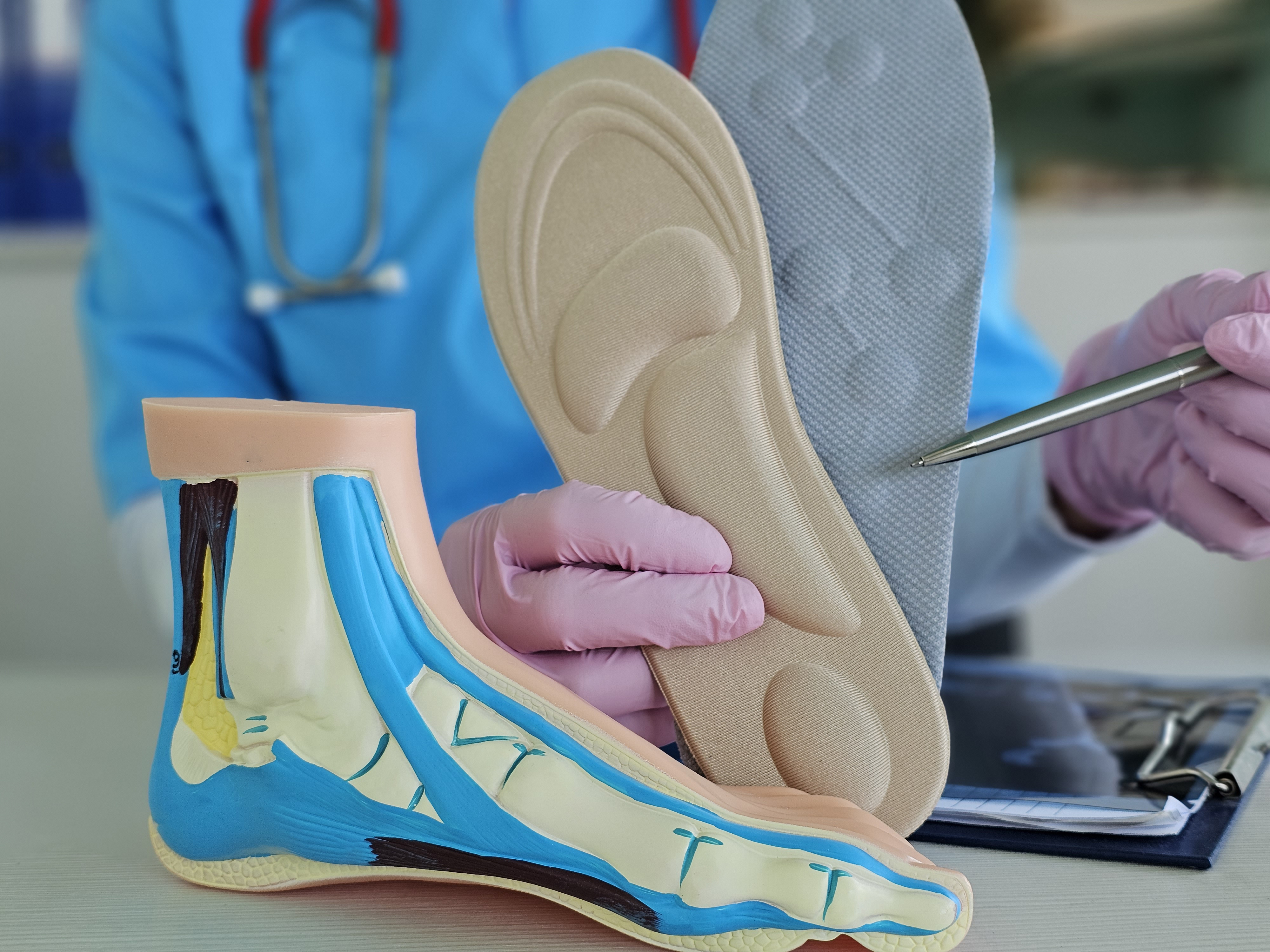 medical demonstrating foot anatomy model alongside 934c02c99ca458b8da74